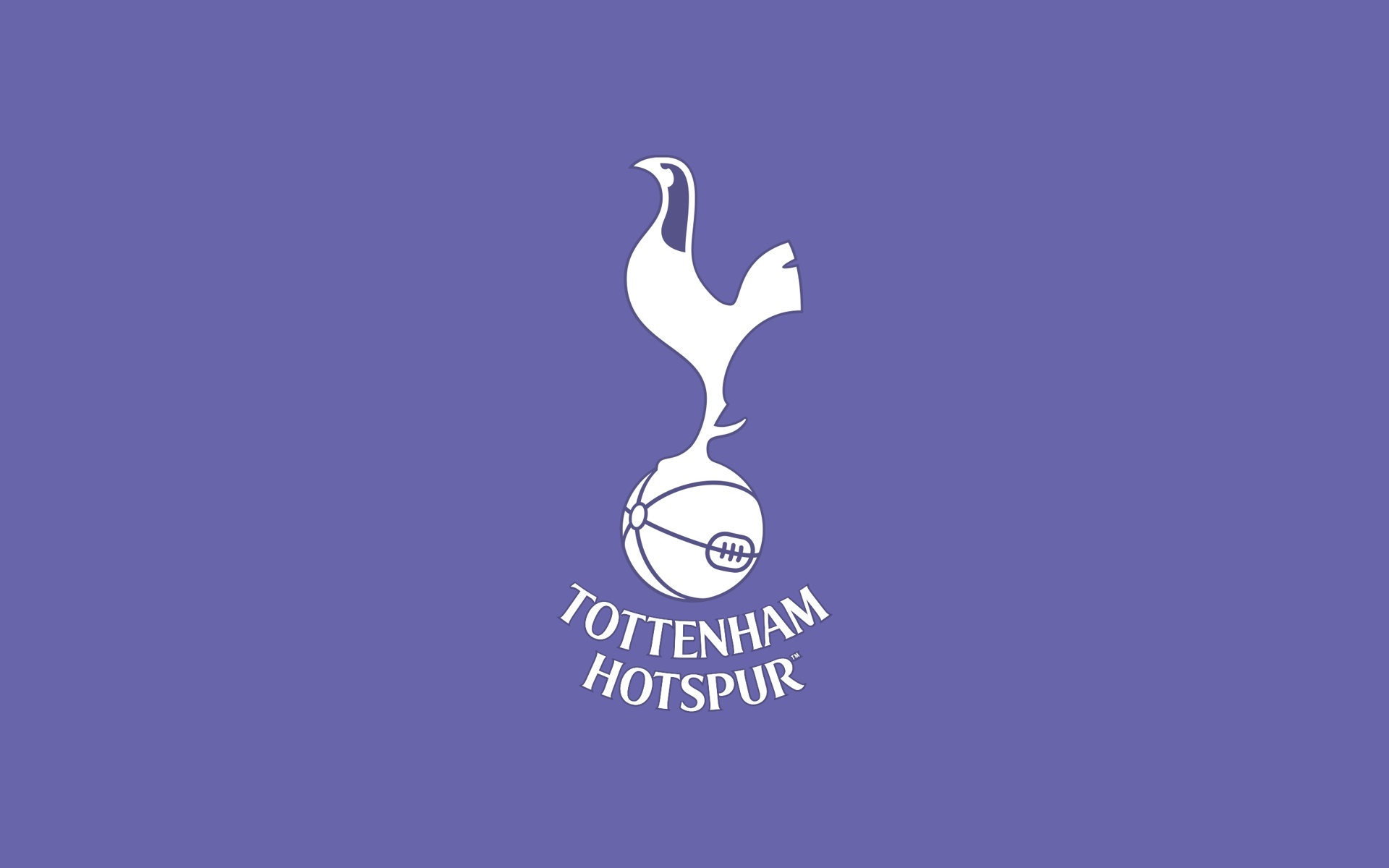 Tottenham Hotspur FC: Owned by ENIC Group, which purchased the club in 2001. 1920x1200 HD Background.