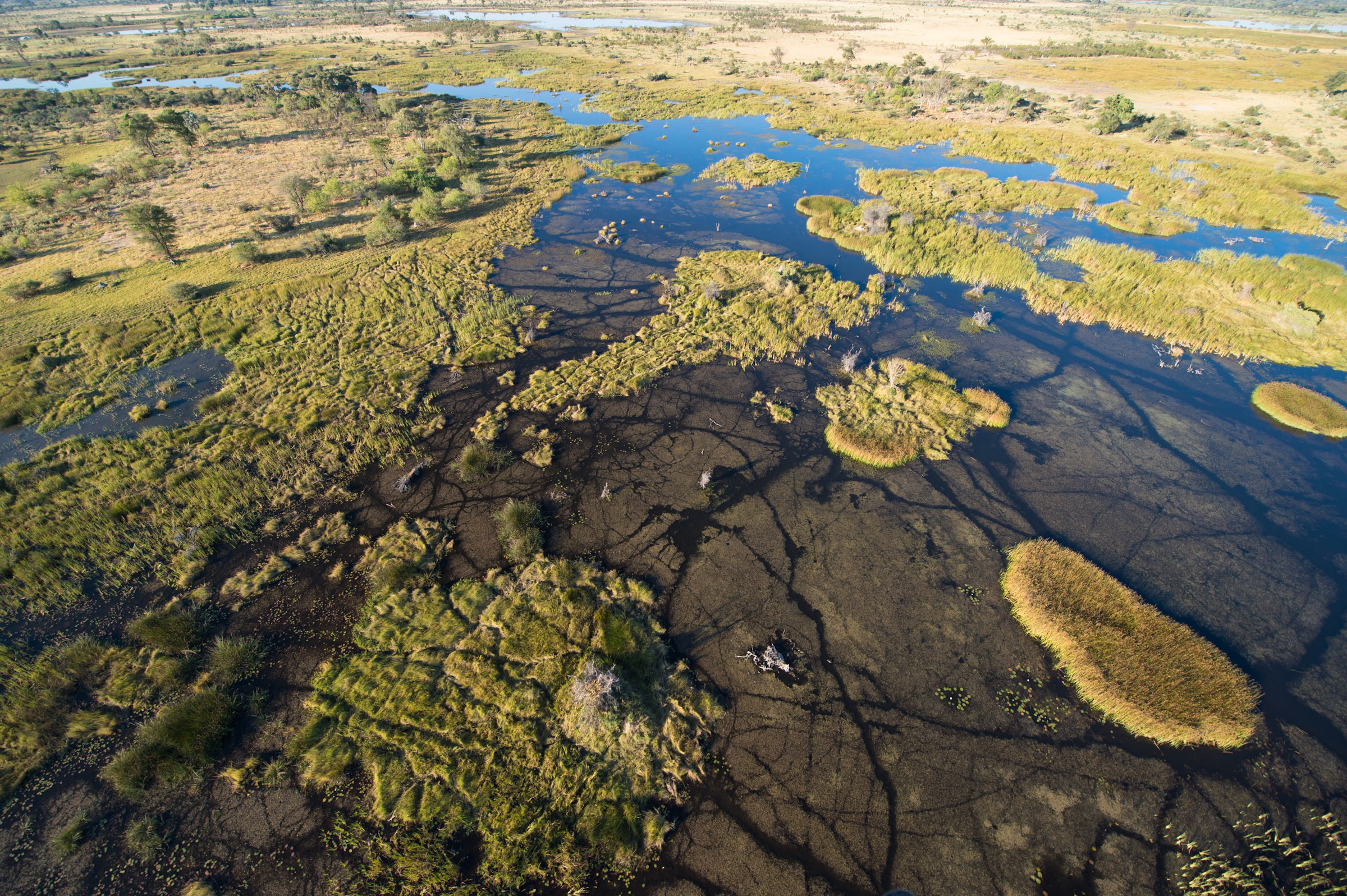 ThobaReisen: 3-tägiges Okavango-Delta-Erlebnis, 2400x1600 HD Desktop