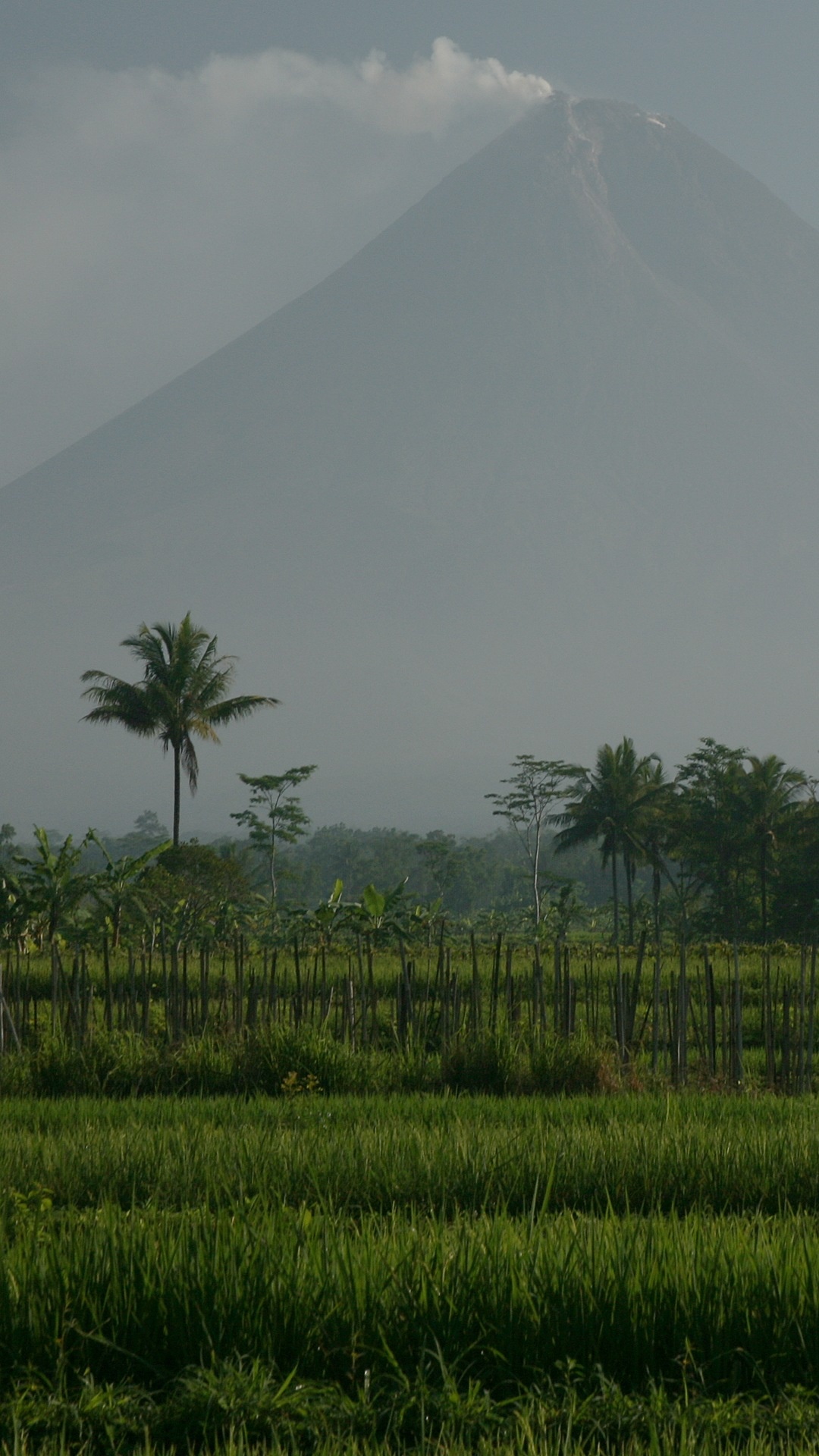 Merapi Volcano, Travel, Wallpaper, Expert, 1080x1920 Full HD Phone