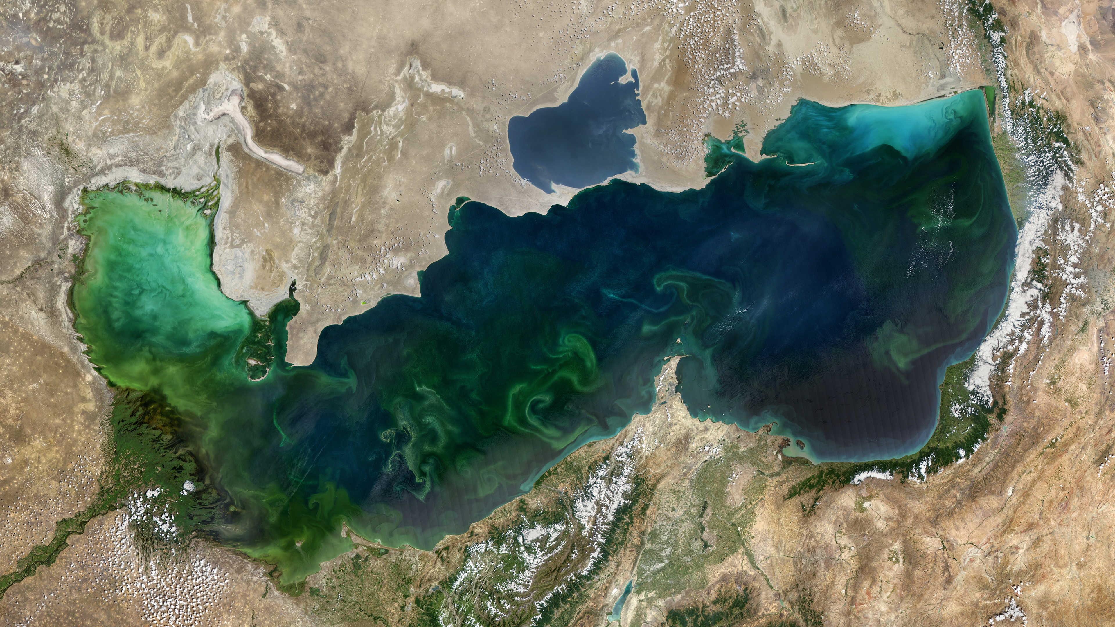 Caspian Sea, Blooming underwater, Abstract artwork, High-quality, 3840x2160 4K Desktop