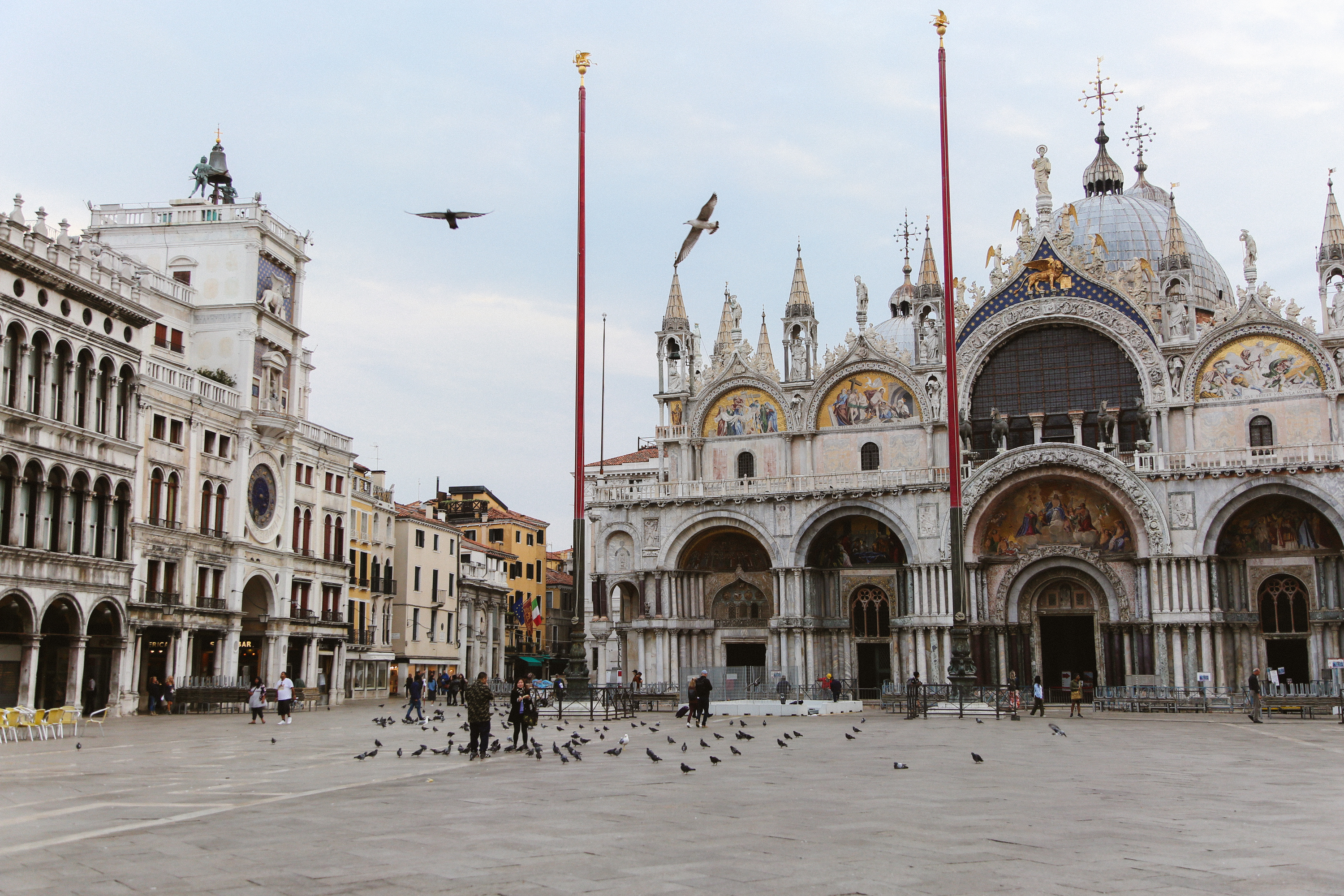 Piazza San Marco, People and birds, Free stock photo, Travels, 3000x2000 HD Desktop