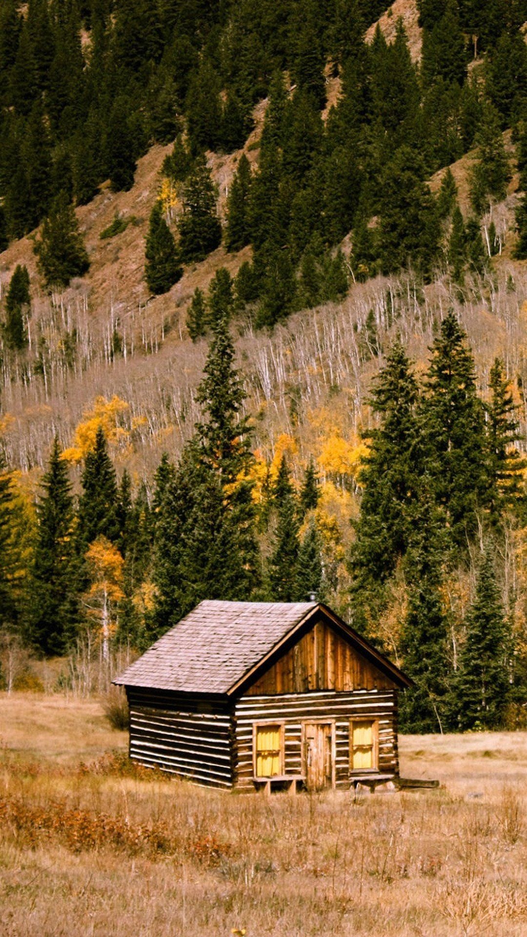 Log Cabin, Cozy retreat, Forest hideaway, Idyllic charm, Serene beauty, 1080x1920 Full HD Phone