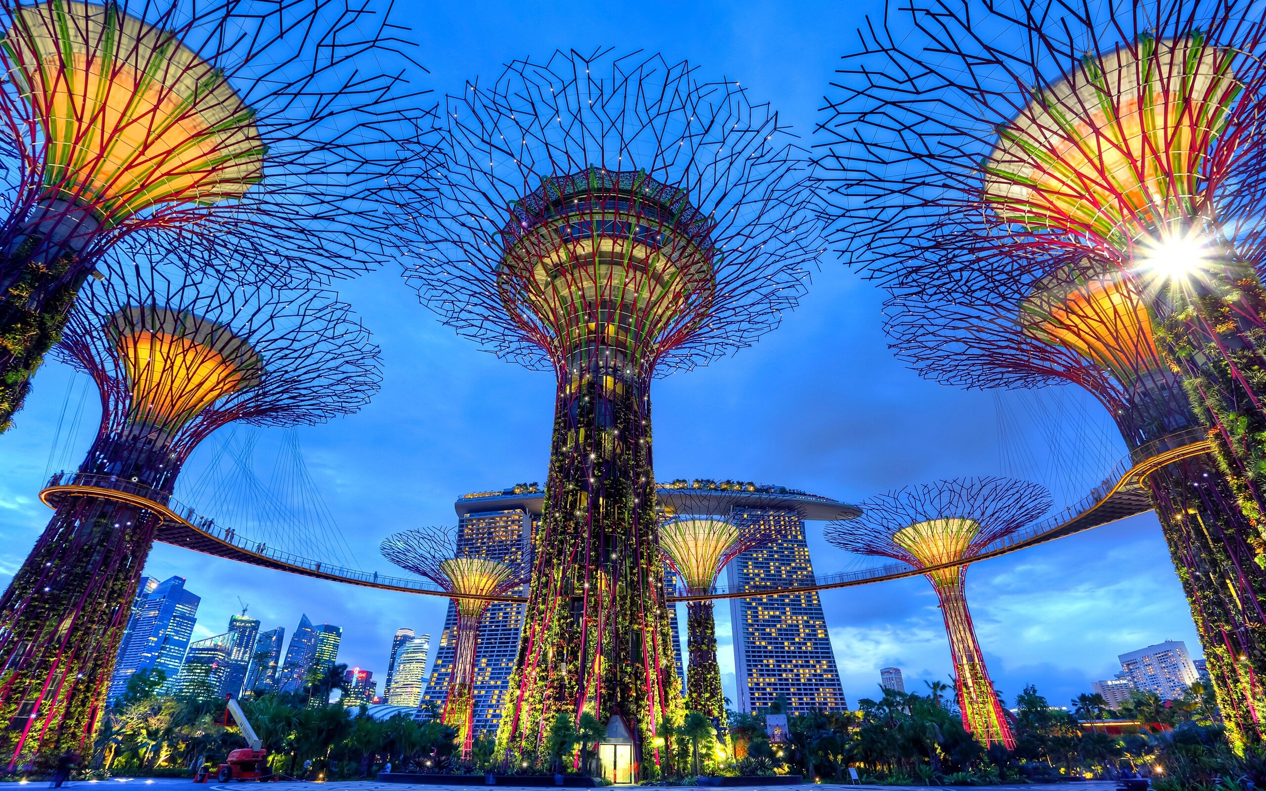 Singapore: Supertree Grove, The man-made mechanical forest, 18 supertrees that act as vertical gardens. 2560x1600 HD Background.