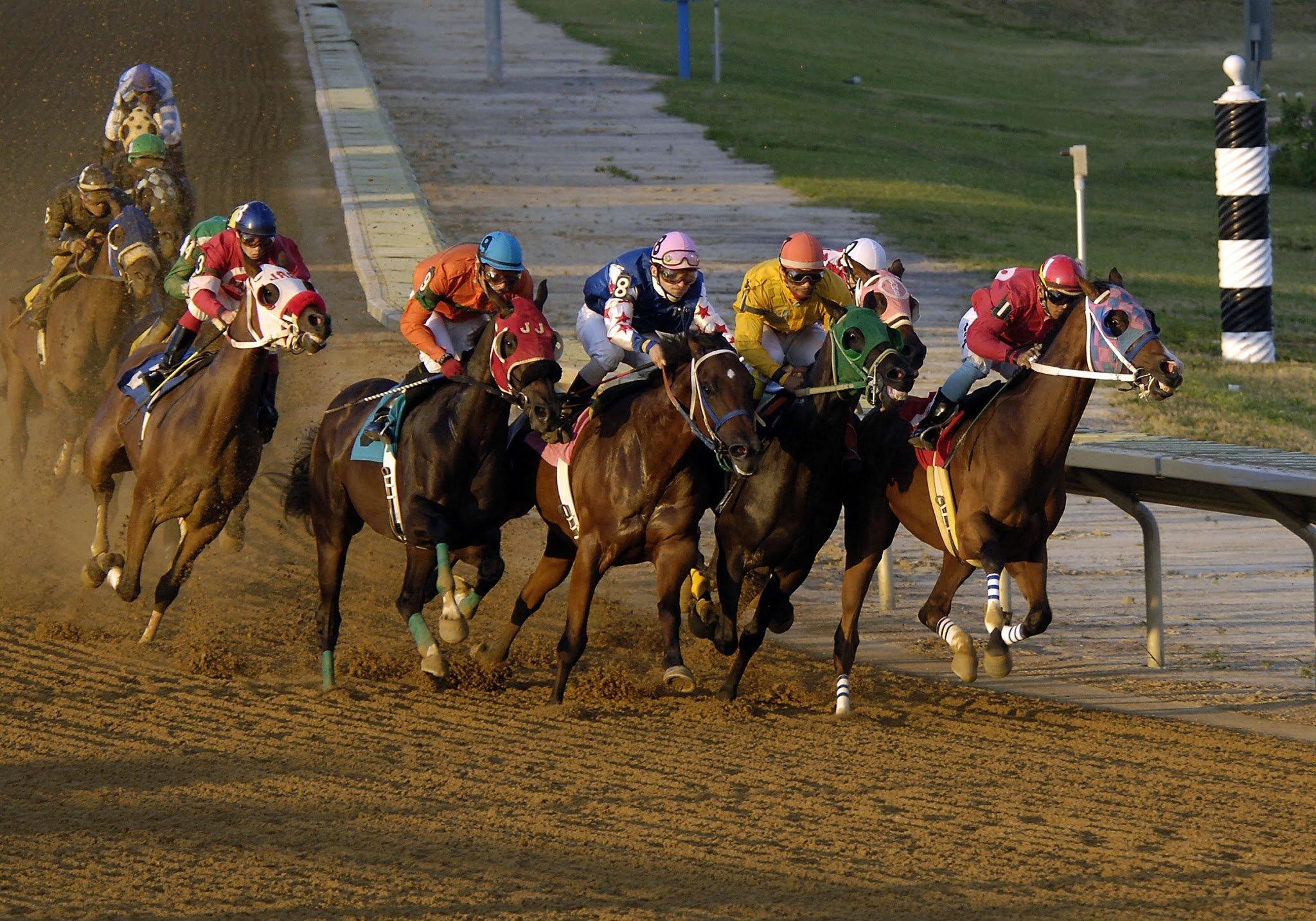 Equestrian Sports: Flat racing, The most popular horse riding discipline and a gambling activity. 2050x1440 HD Wallpaper.