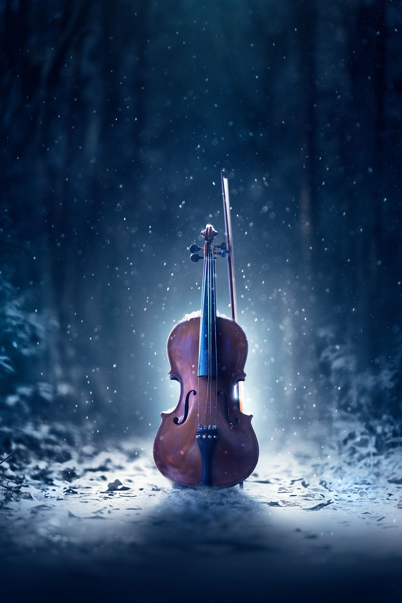 Musical Instruments: A bowed string instrument, Classical violin playing, A fiddling stick. 1370x2050 HD Wallpaper.
