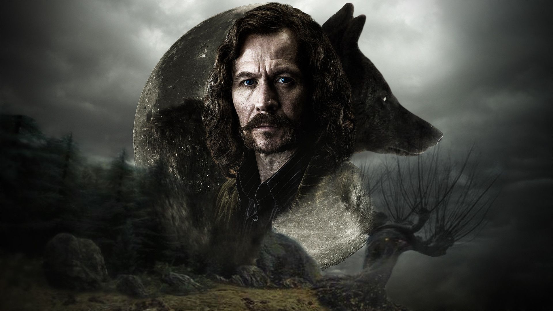 Sirius Black: The older brother of Regulus Black, and godfather of Harry Potter. 1920x1080 Full HD Background.