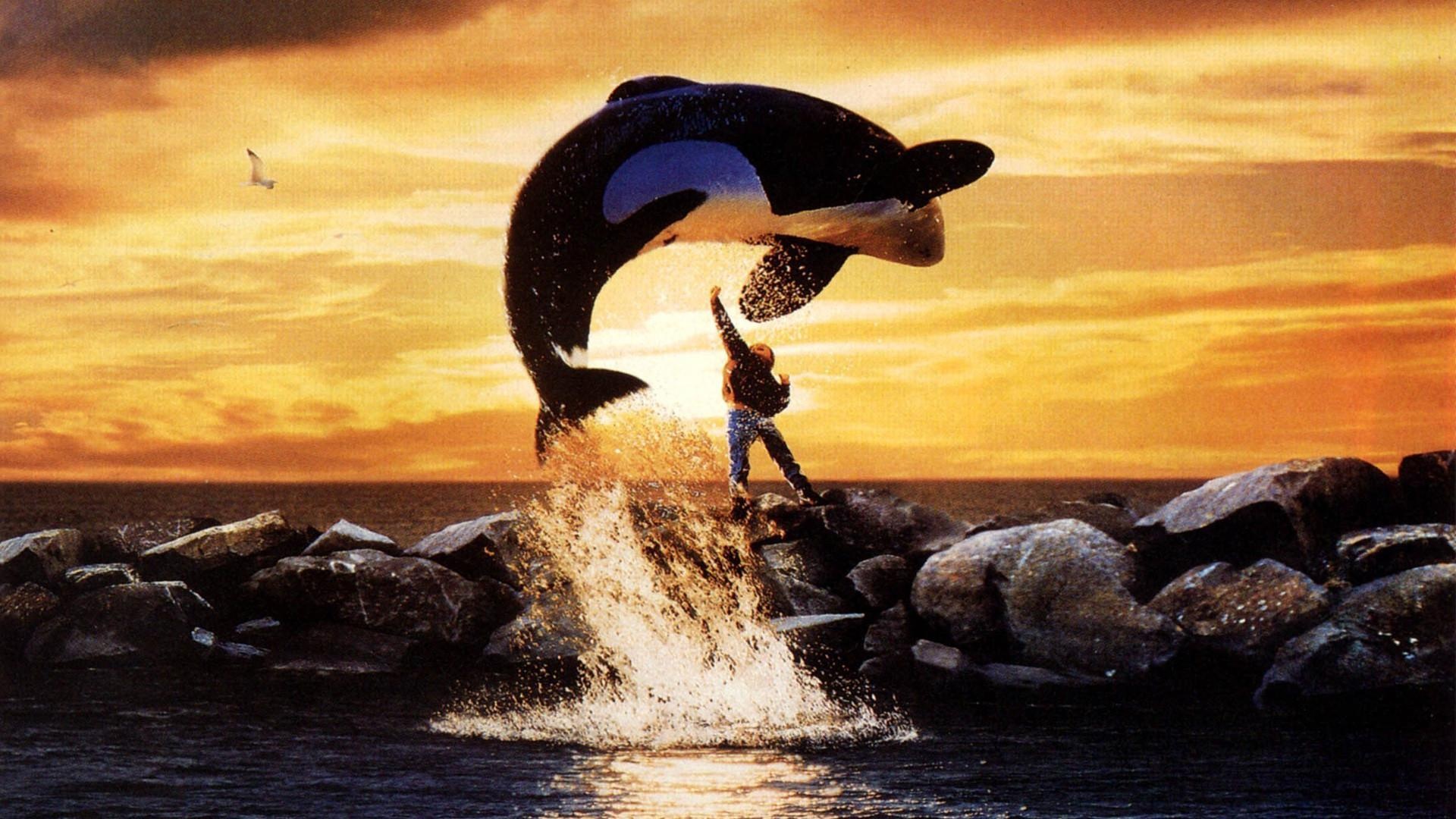 Free Willy 2 movie, Adventure home, Wallpapers, Movies, 1920x1080 Full HD Desktop