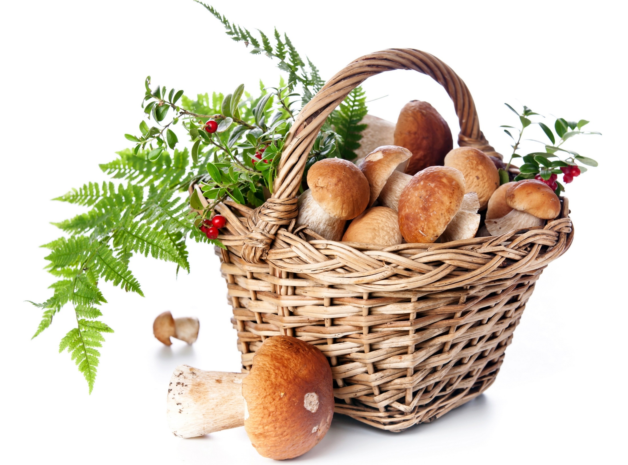Mushroom basket, Fall food, Goodfon, HD wallpapers, 2200x1630 HD Desktop