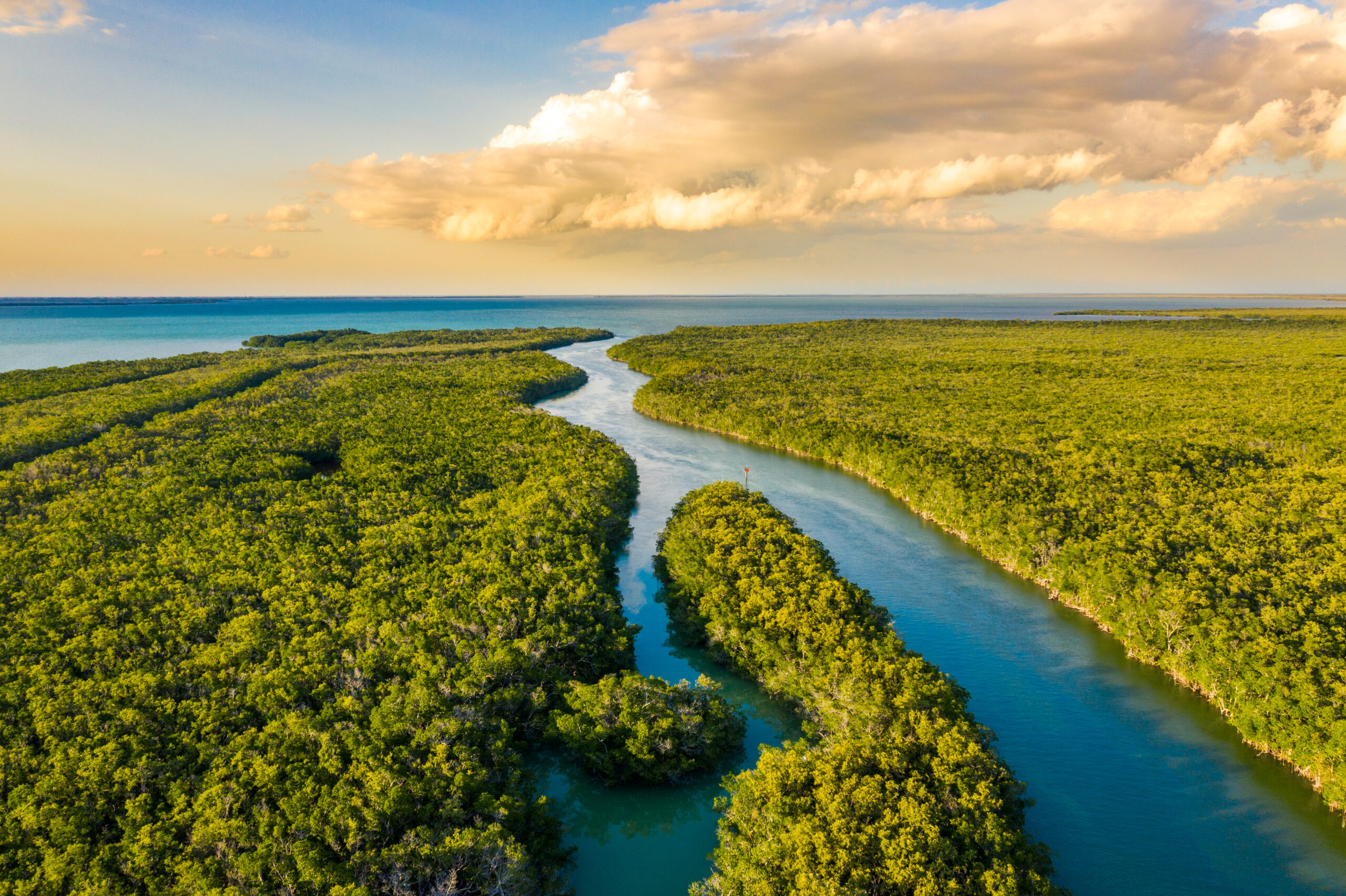 Die Wunder der Everglades entdecken, 2560x1710 HD Desktop