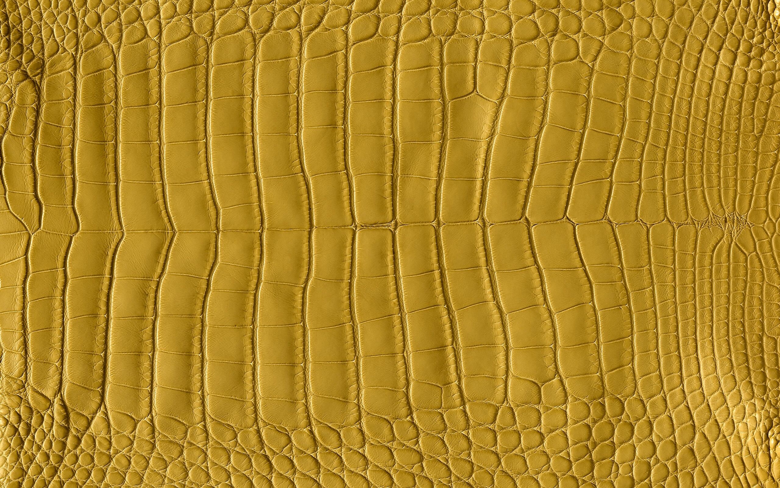Hermes: A sample of alligator leather, Crocodile skin, A fashion house steeped in history and tradition. 2560x1600 HD Wallpaper.