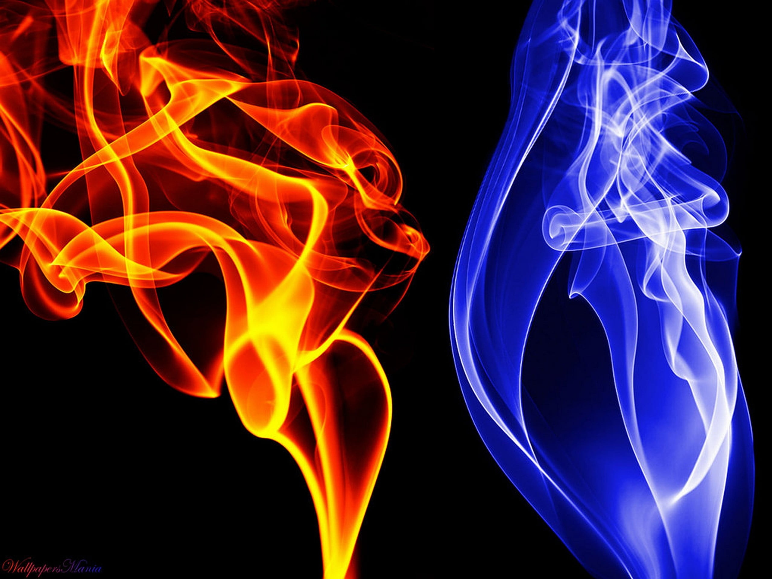 Red and blue flames, Illustrative brilliance, Contrasting colors, Fiery illustration, Striking visuals, 2560x1920 HD Desktop
