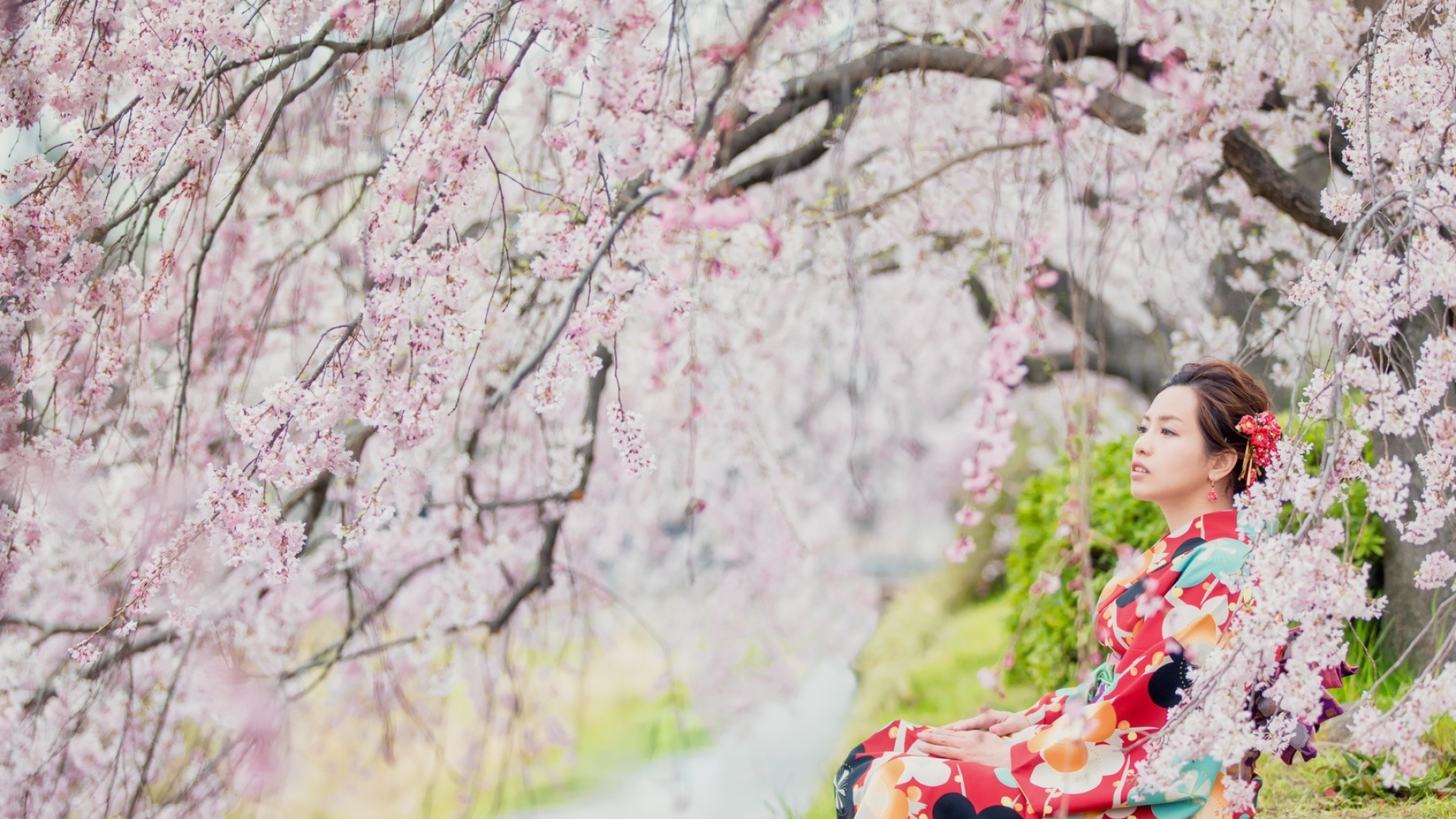 Sakura girl, Red kimono, Vibrant colors, Oriental charm, 1920x1080 Full HD Desktop