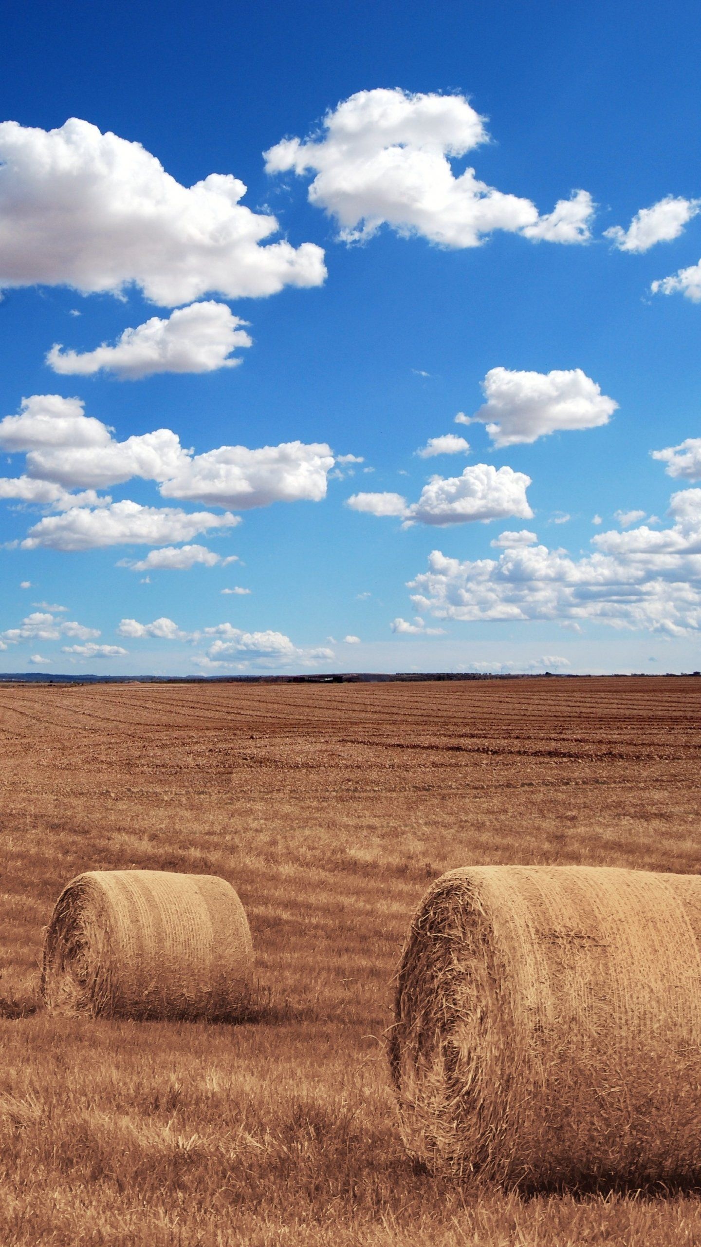 Farm: Hay bales, Straw roll, Harvesting. 1440x2560 HD Wallpaper.