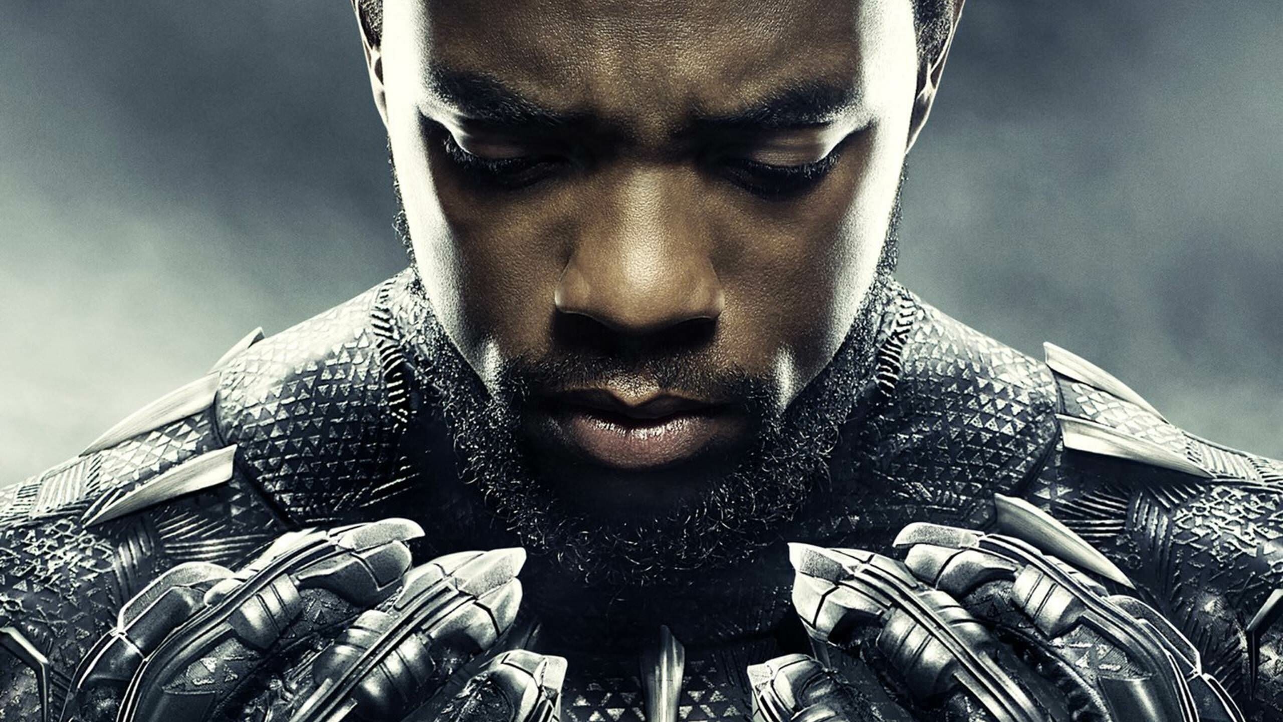 Black Panther movie wallpapers, HD 4K 5K, PC and mobile, Images, 2560x1440 HD Desktop