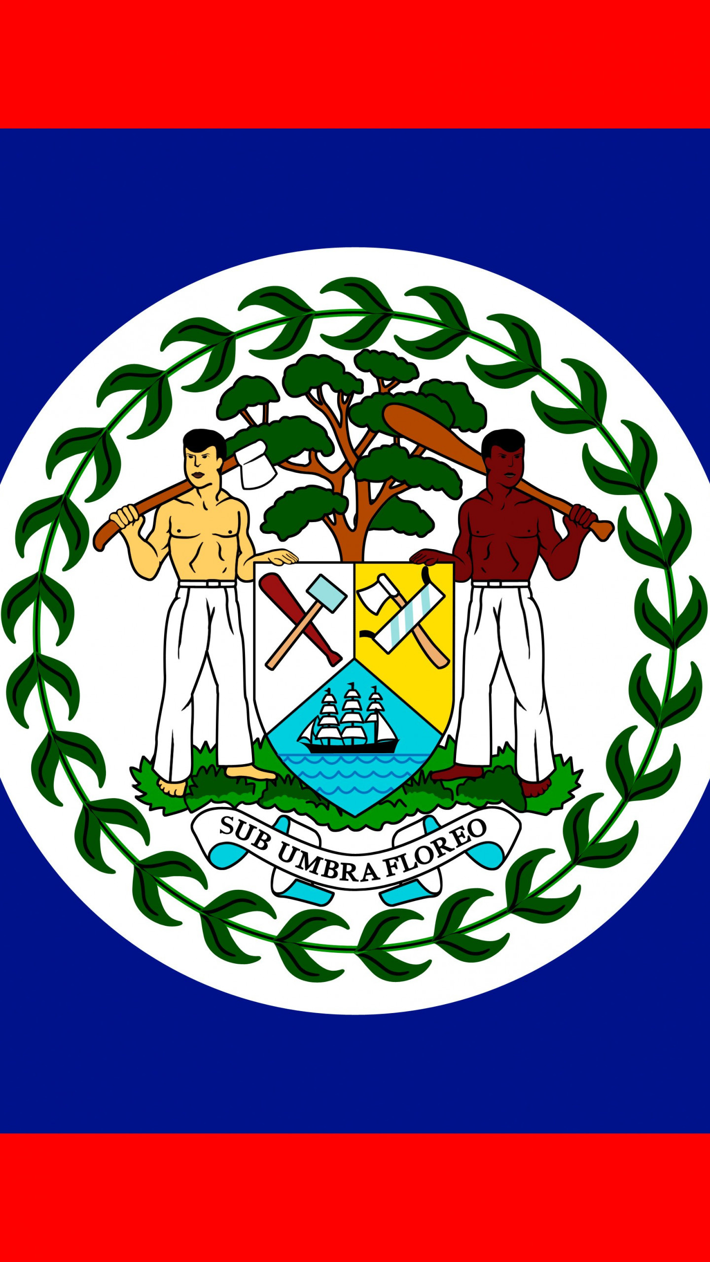 Belize flag art, HD wallpaper, National pride, Patriotic symbol, 1440x2560 HD Phone