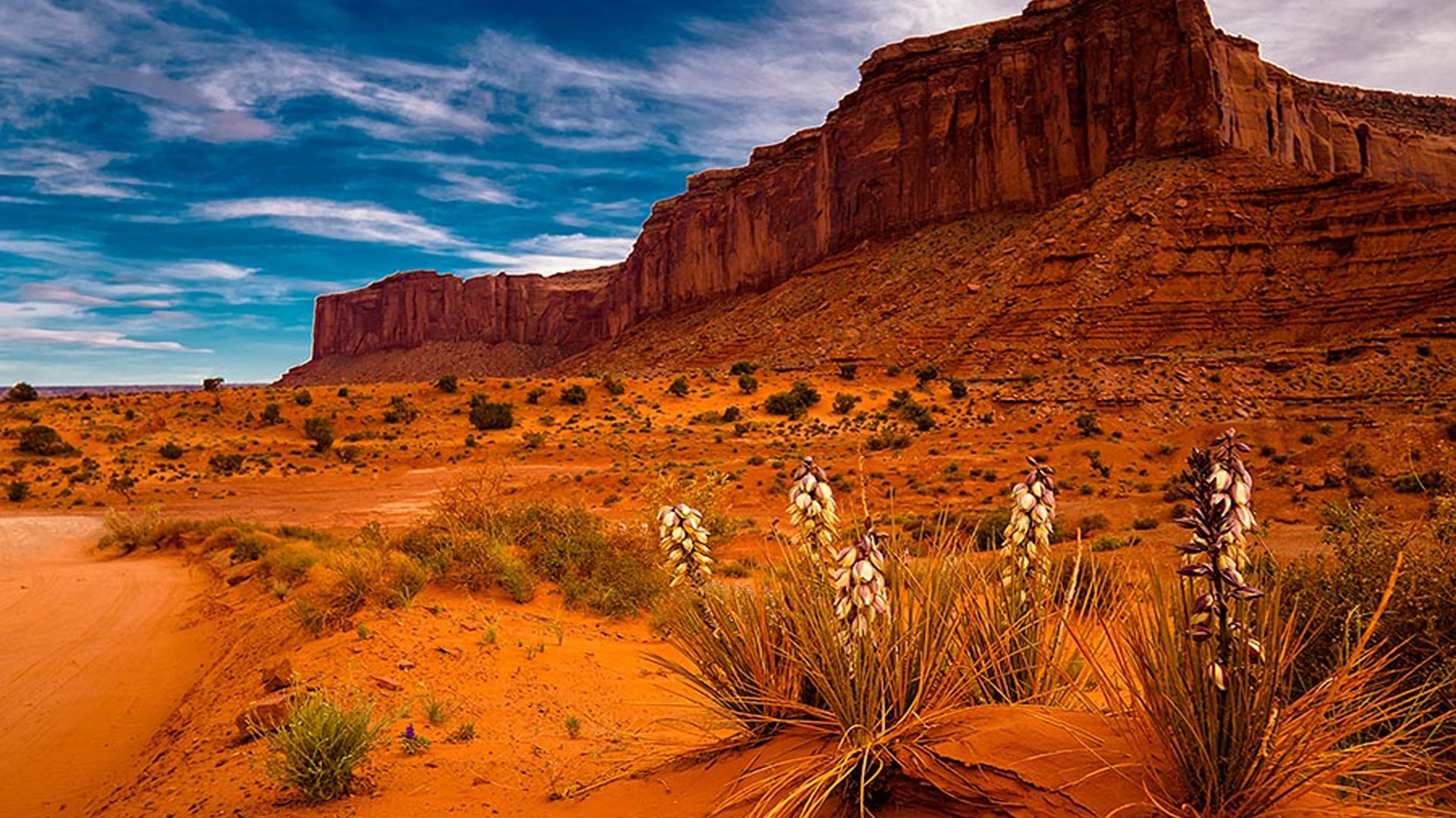 Desert in Sedona Arizona, HD wallpaper, Background image, Scenic, 1920x1080 Full HD Desktop