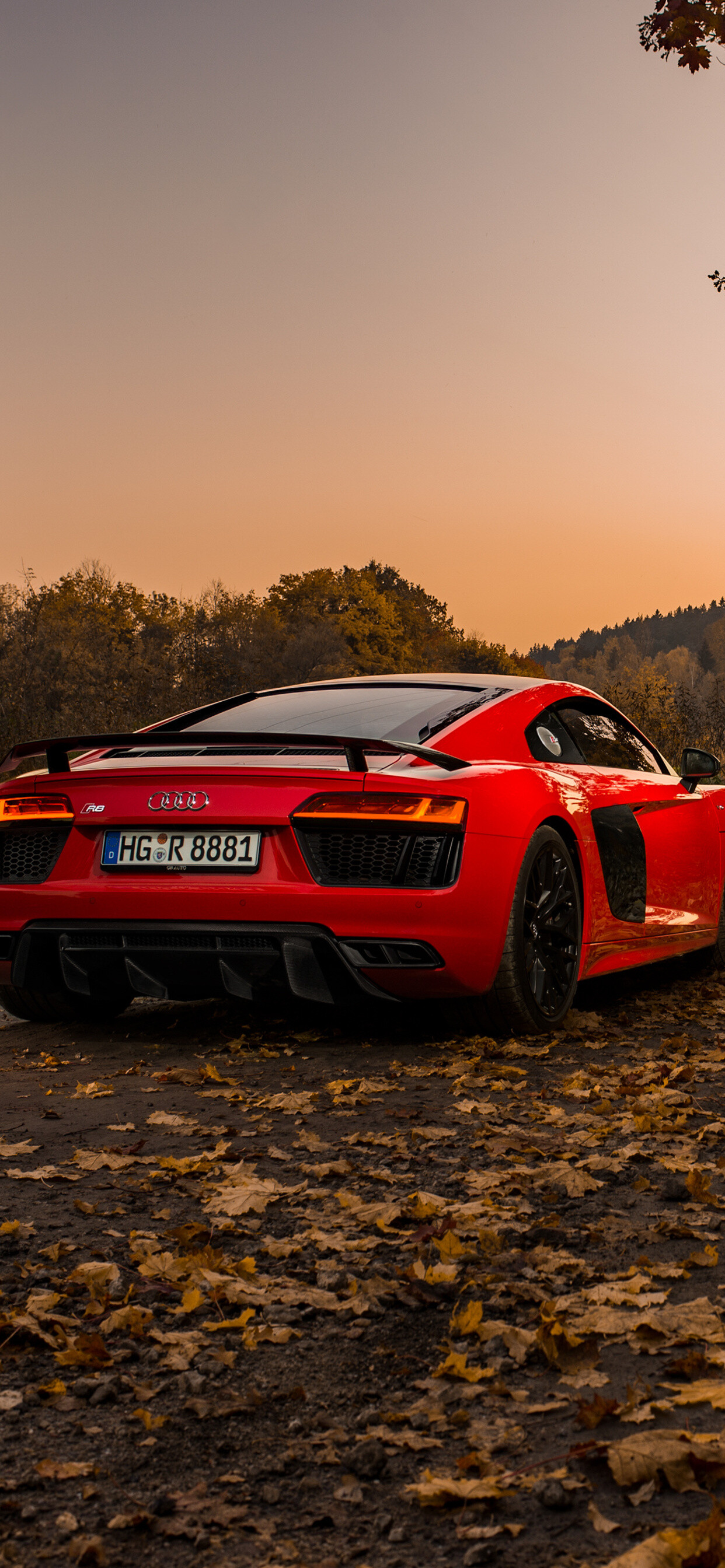 Audi: The part of the "German Big 3" luxury automakers, along with BMW and Mercedes-Benz, RS8. 1250x2690 HD Wallpaper.
