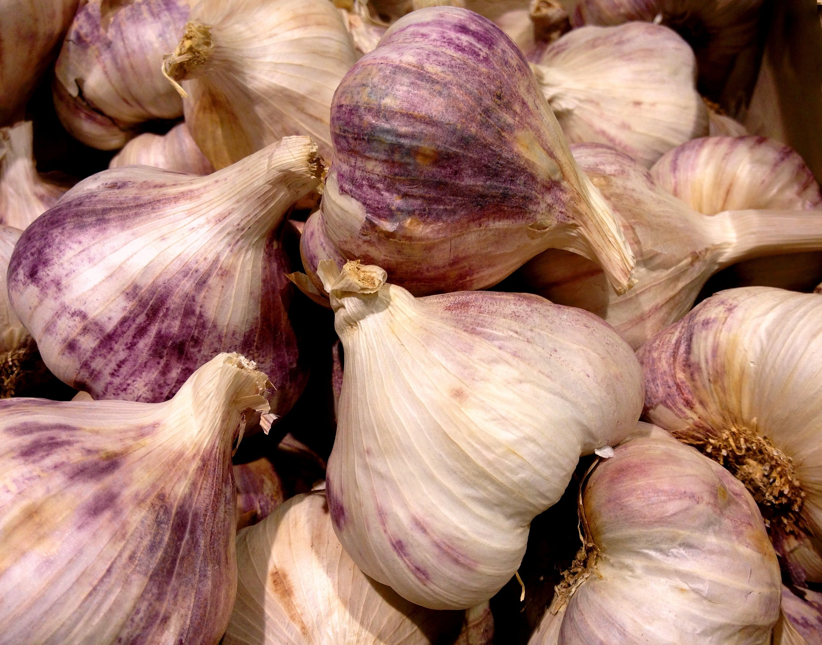 Gorgeous garlic cloves, Cluster of cloves, High-resolution image, Luscious texture, 2750x2160 HD Desktop