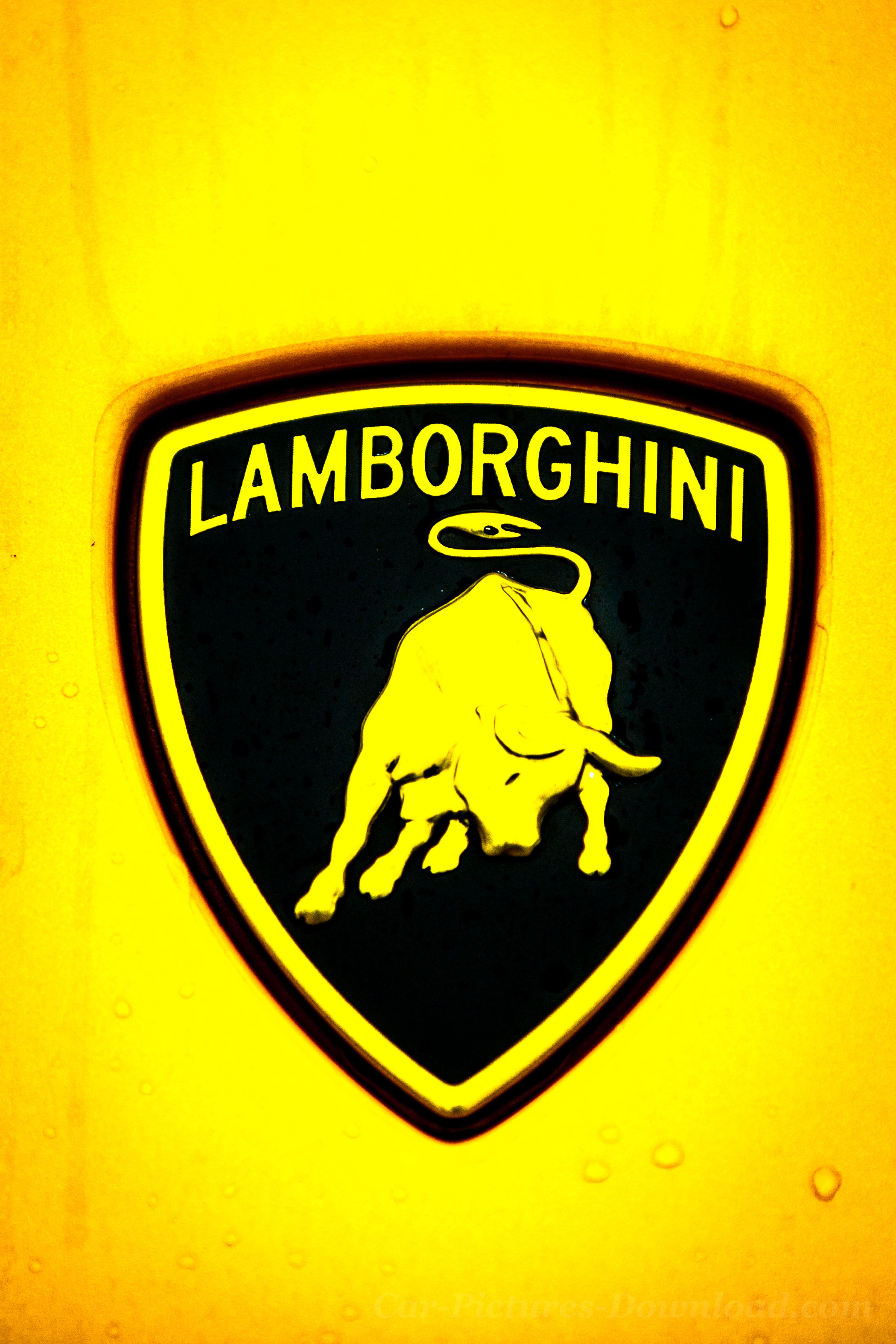 Lamborghini Logo, iPhone wallpapers, Mobile phones, Free download, 2100x3150 HD Phone
