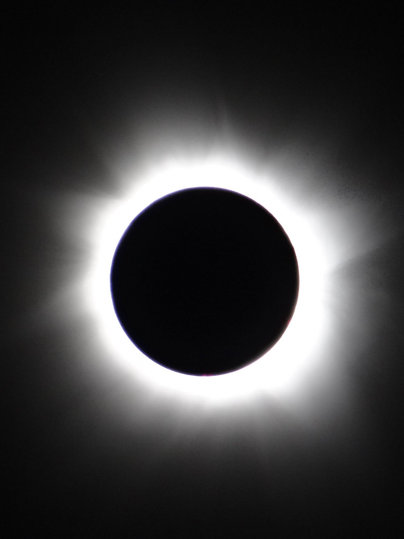 Corona, Solar Eclipse Wallpaper, 1540x2050 HD Phone