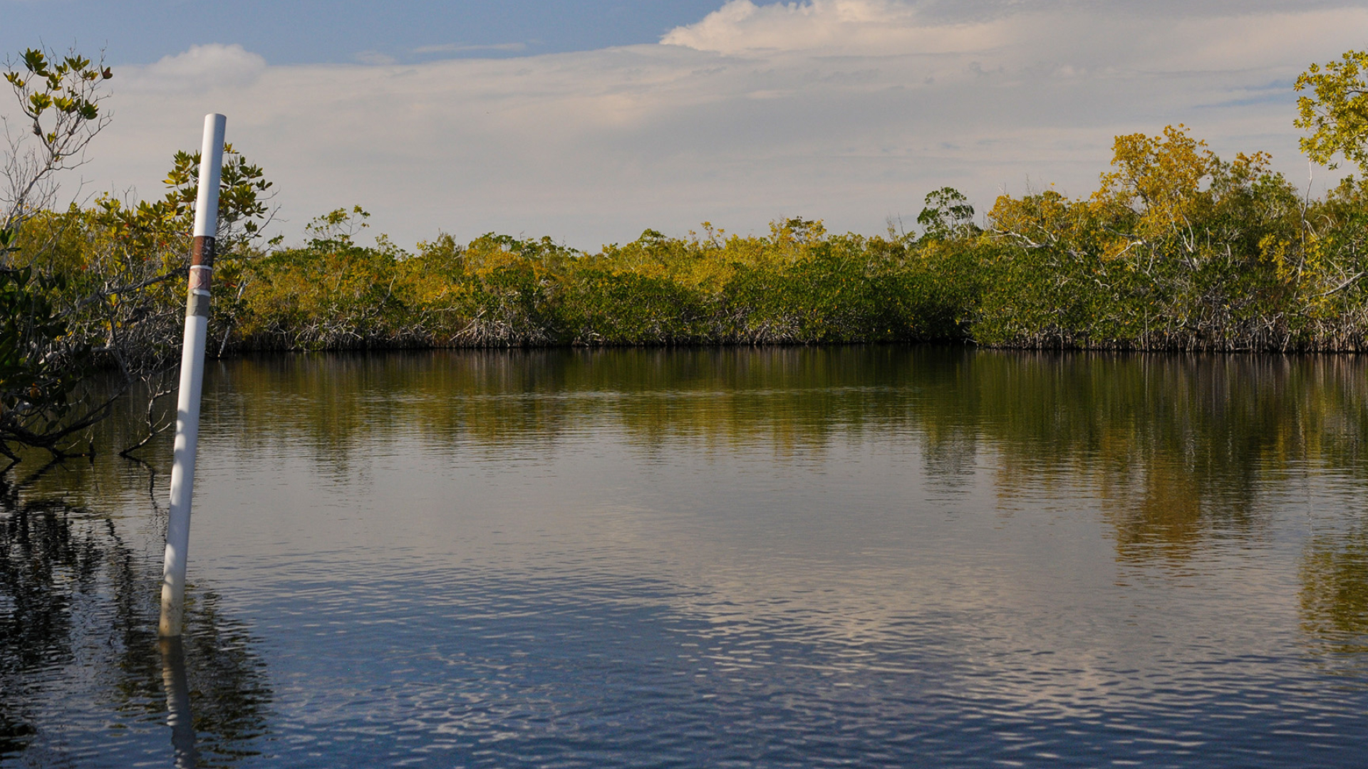 Paddelabenteuer im Everglades National Park, 1920x1080 Full HD Desktop