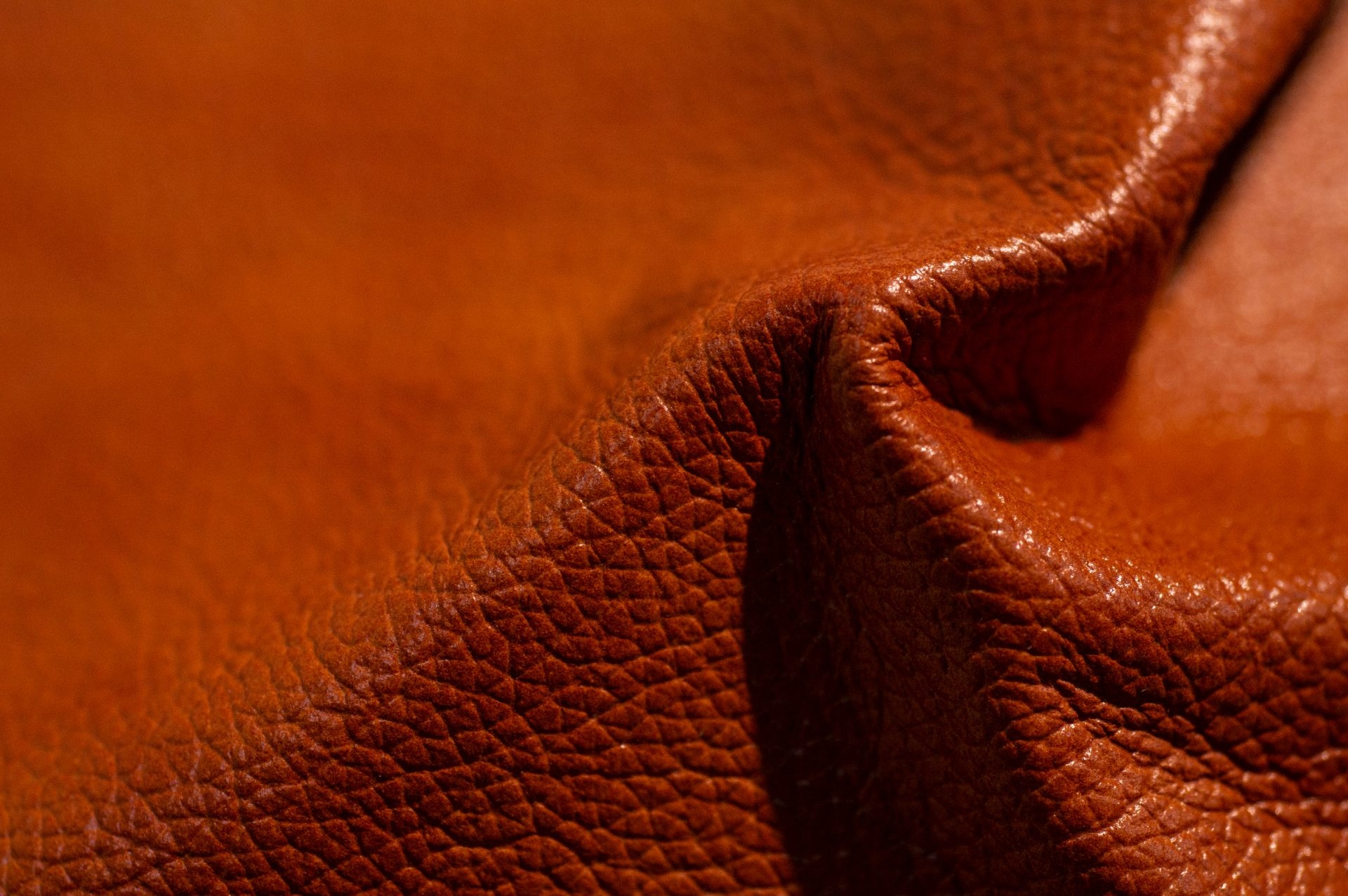 Alva Leather GmbH, Leather supplier, High-quality products, Expert craftsmanship, 1920x1280 HD Desktop