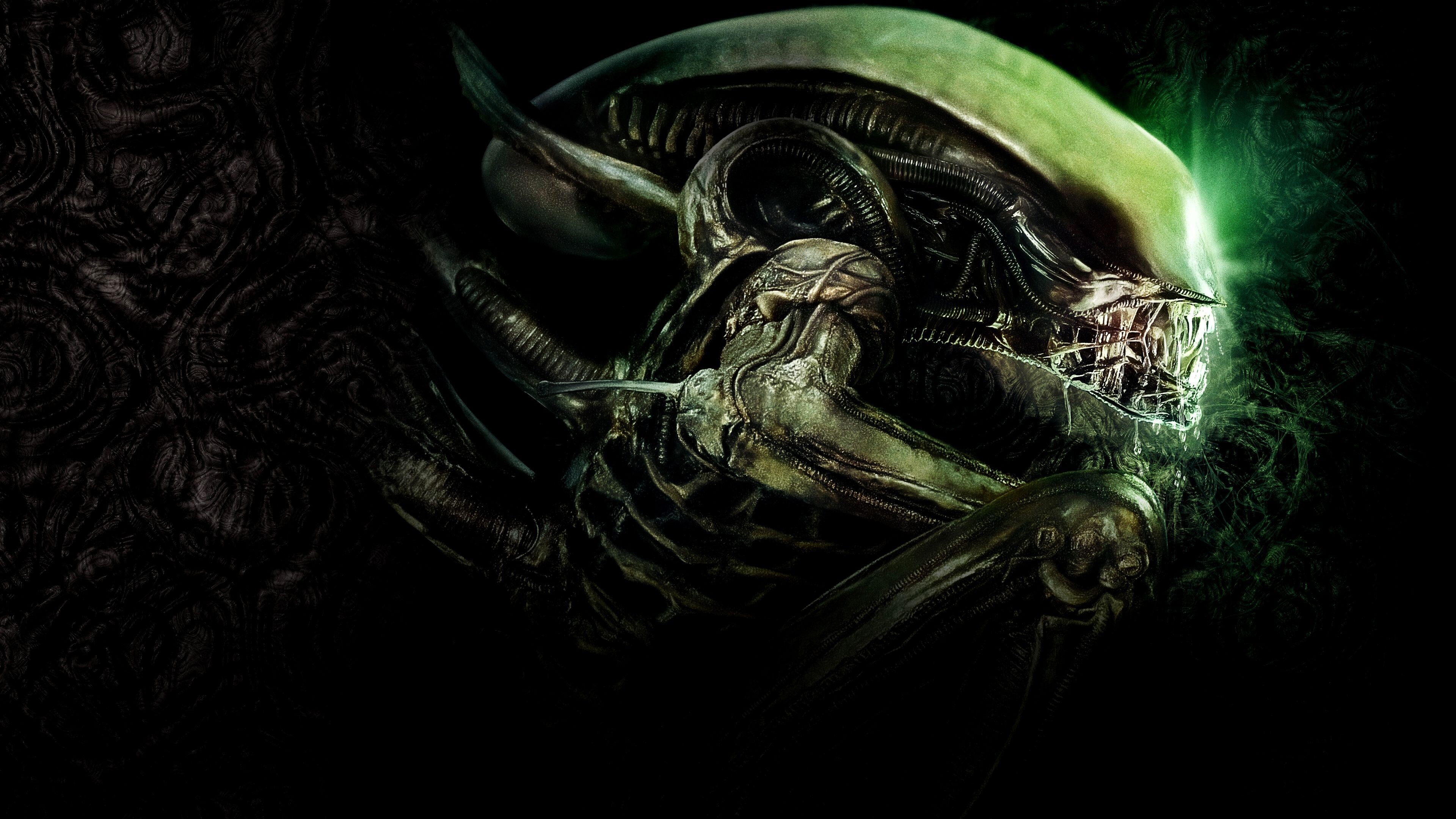 H.R. Giger: Xenomorph, Chitinous Armored Body, "Aliens" Film. 3840x2160 4K Wallpaper.