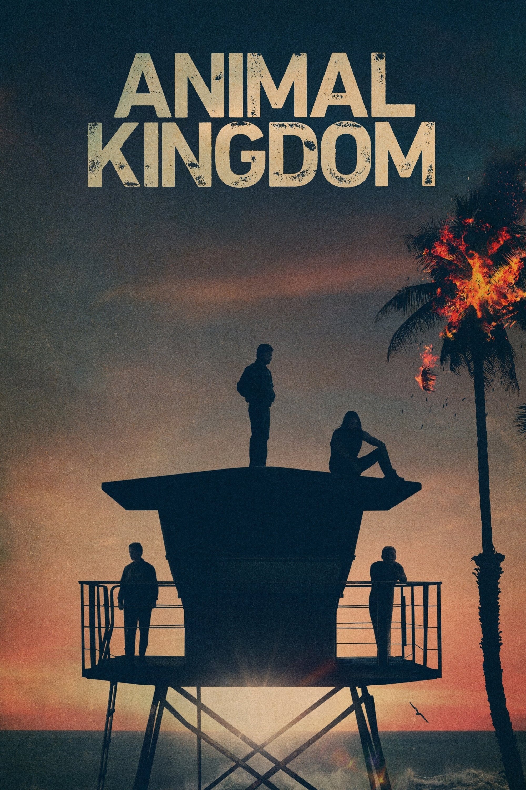 Animal Kingdom TV Series, Intriguing drama, Family crime, Southern California setting, 2000x3000 HD Phone
