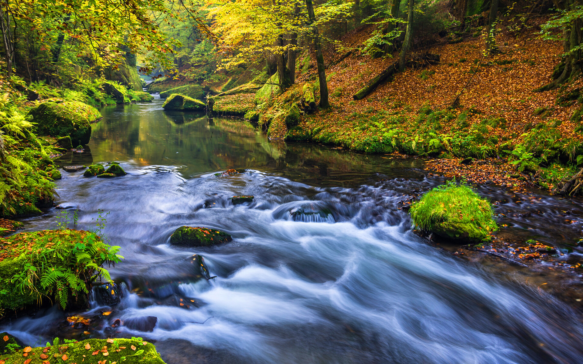 River: Nature, Forest, A fundamental link in the hydrologic cycle. 1920x1200 HD Background.