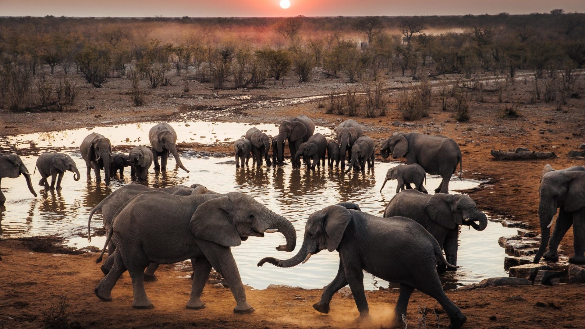 Etosha National Park, Photographic Namibian adventure, SafariFrank tour, Night, 1920x1080 Full HD Desktop