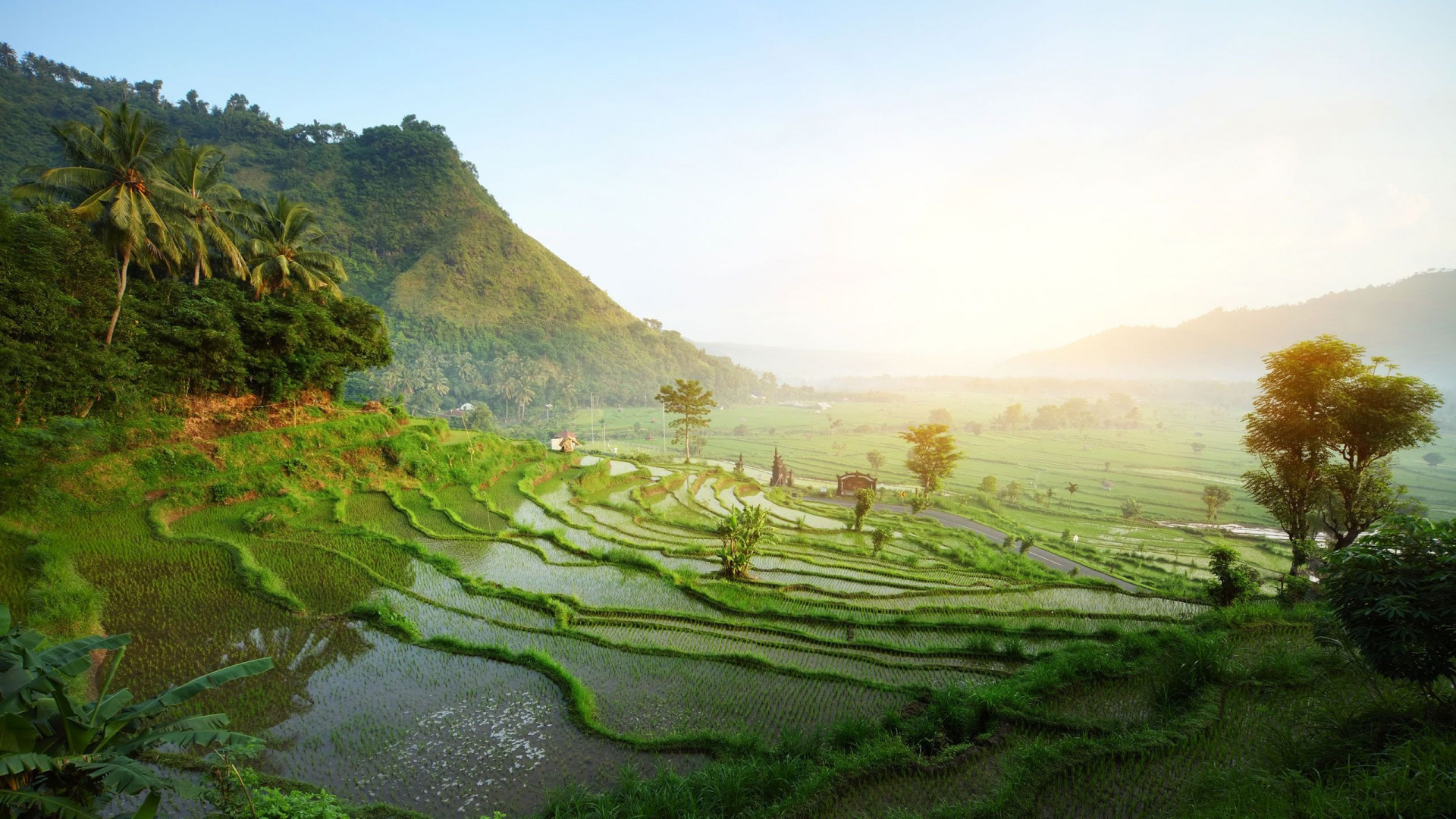 Ubud's rice terraces, Majestic landscapes, Serene wallpapers, Bali's beauty, 1920x1080 Full HD Desktop