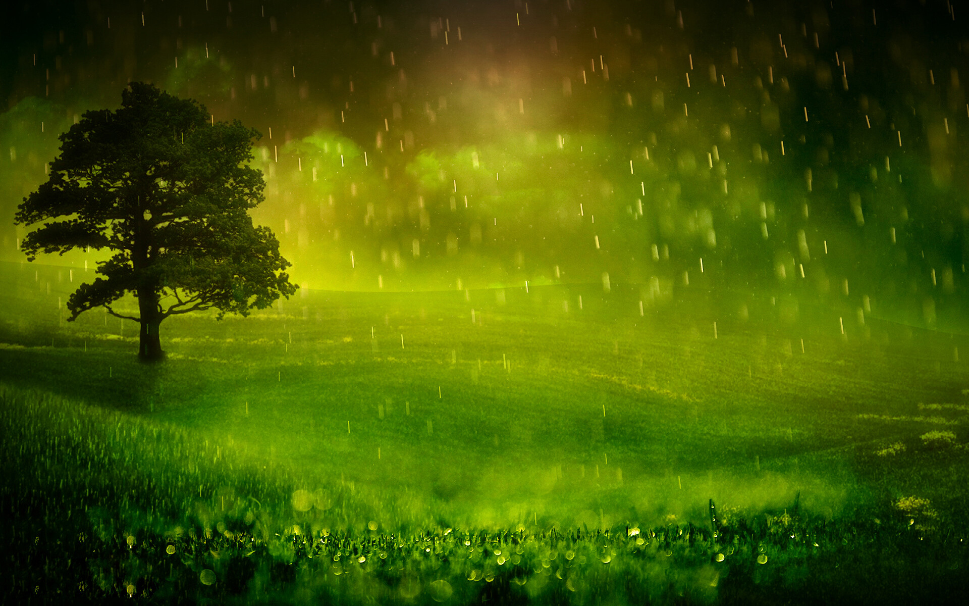 Rain: Water that is condensed from the aqueous vapor in the atmosphere. 1920x1200 HD Background.