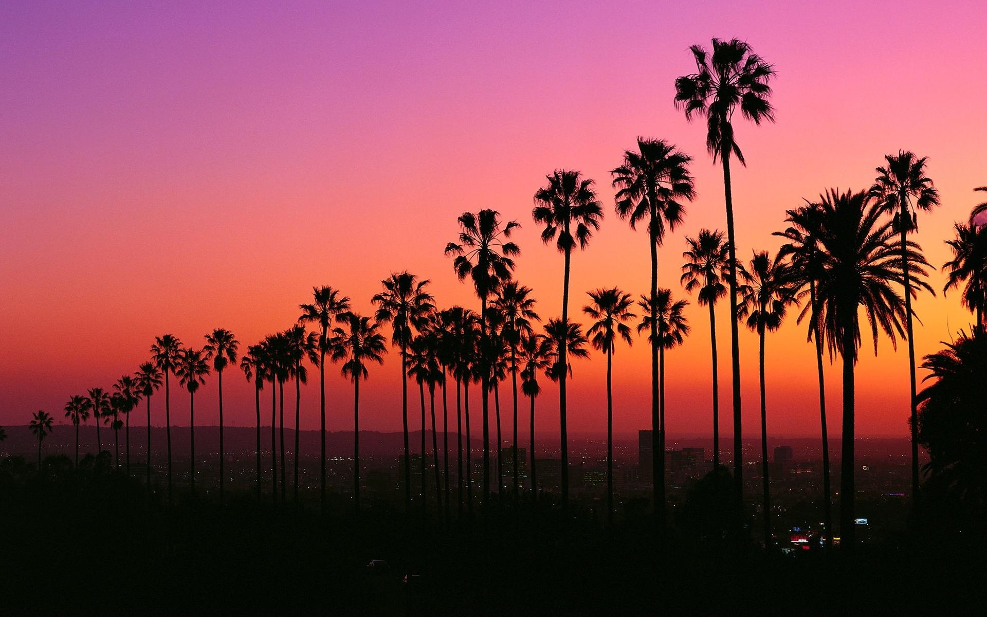 Los Angeles: City of Angels, Aesthetic, Sunset. 1920x1200 HD Wallpaper.