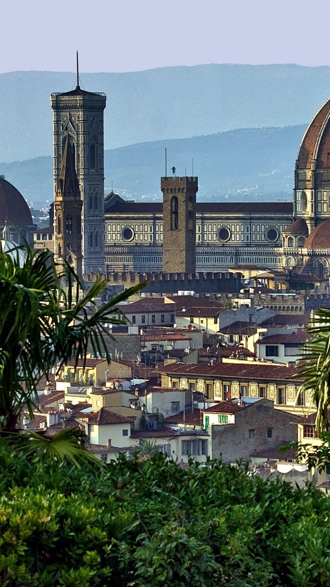 Florence: A center of medieval European trade and finance and one of the wealthiest cities of that era. 1080x1920 Full HD Background.