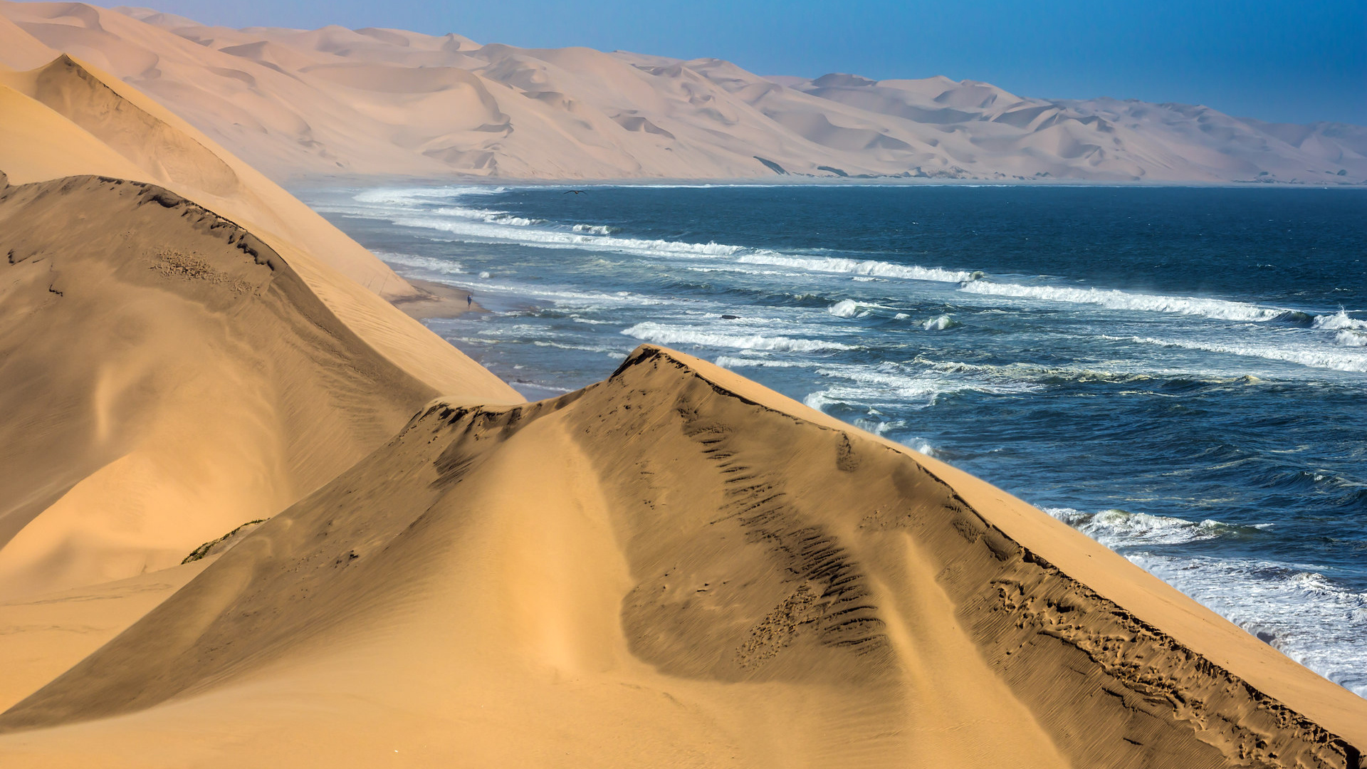 Namibia dune landscape, Desert beauty, Ocean views, Serene sand, 1920x1080 Full HD Desktop