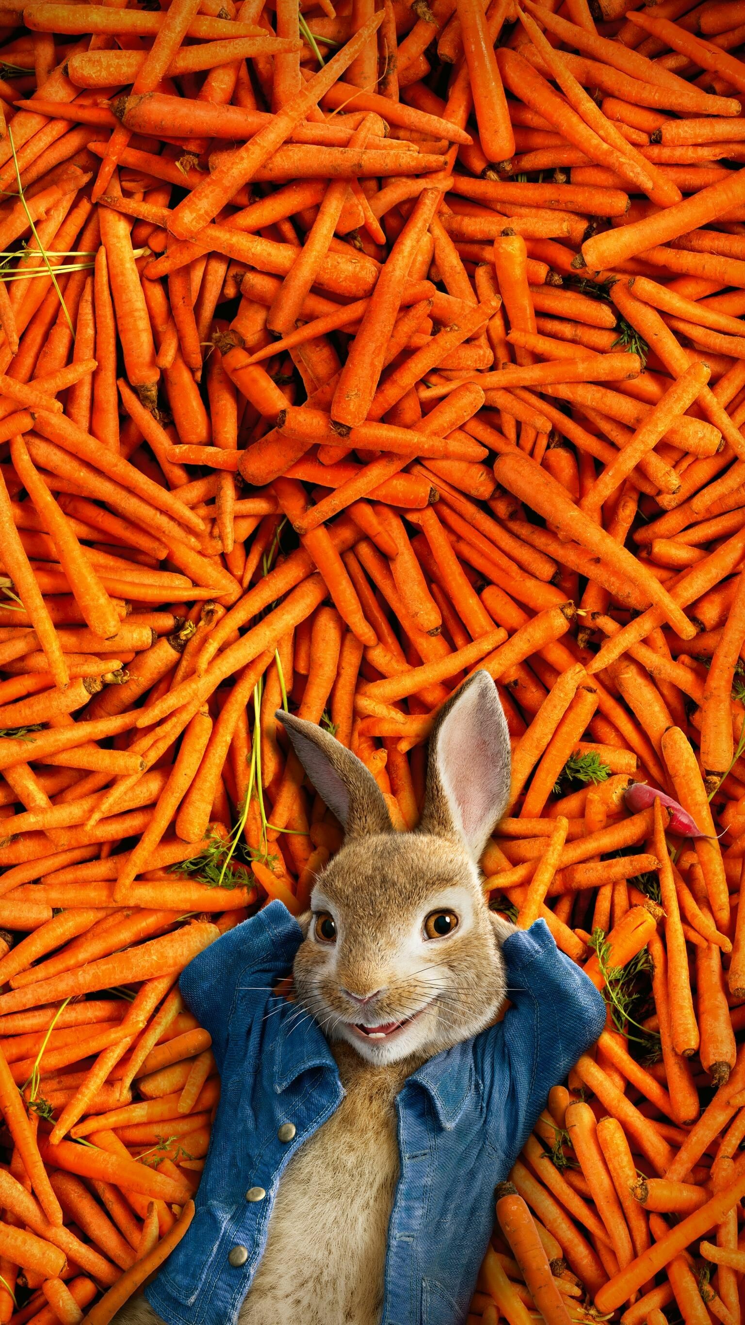 Rabbit: Peter, A character of kid's movie. 1540x2740 HD Background.