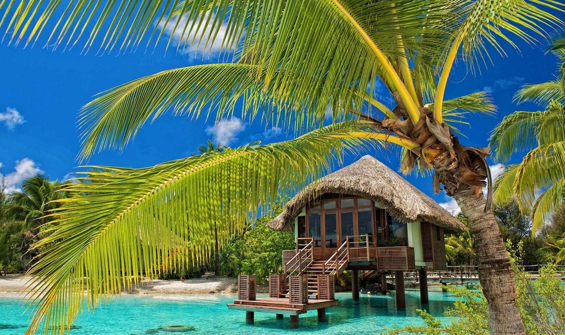 Bungalow: Tropical island in the heart of the ocean, Palm trees on the sandy beach, Small vacation house. 1920x1140 HD Background.