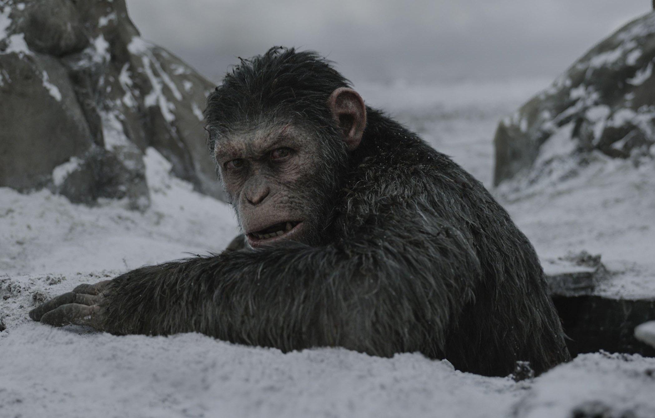 War for the Planet of the Apes, Saga continuation, Future of franchise, Imaginative storytelling, 2100x1340 HD Desktop