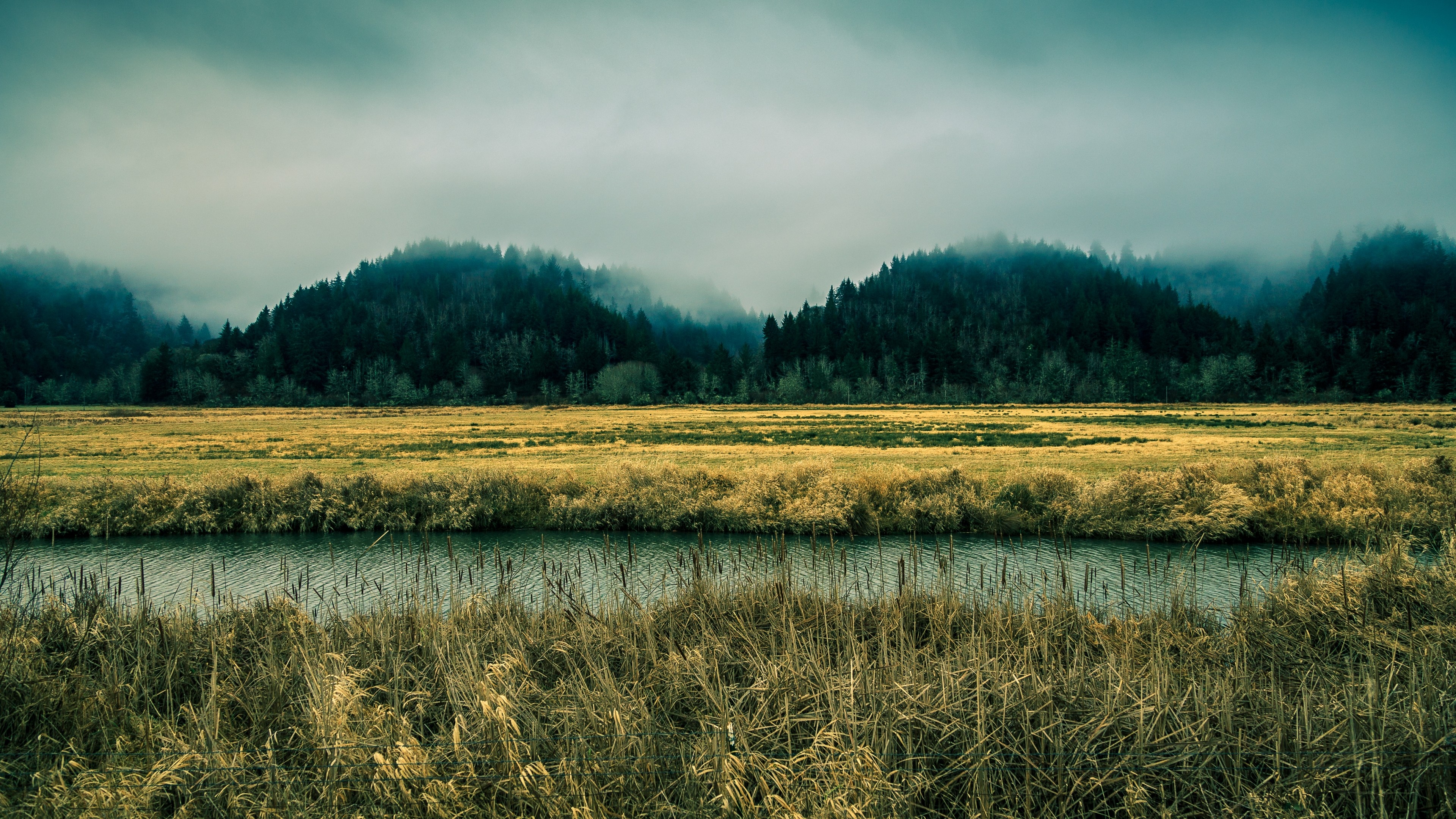 Oregon sky river fog, Forest pines nature, 3840x2160 4K Desktop