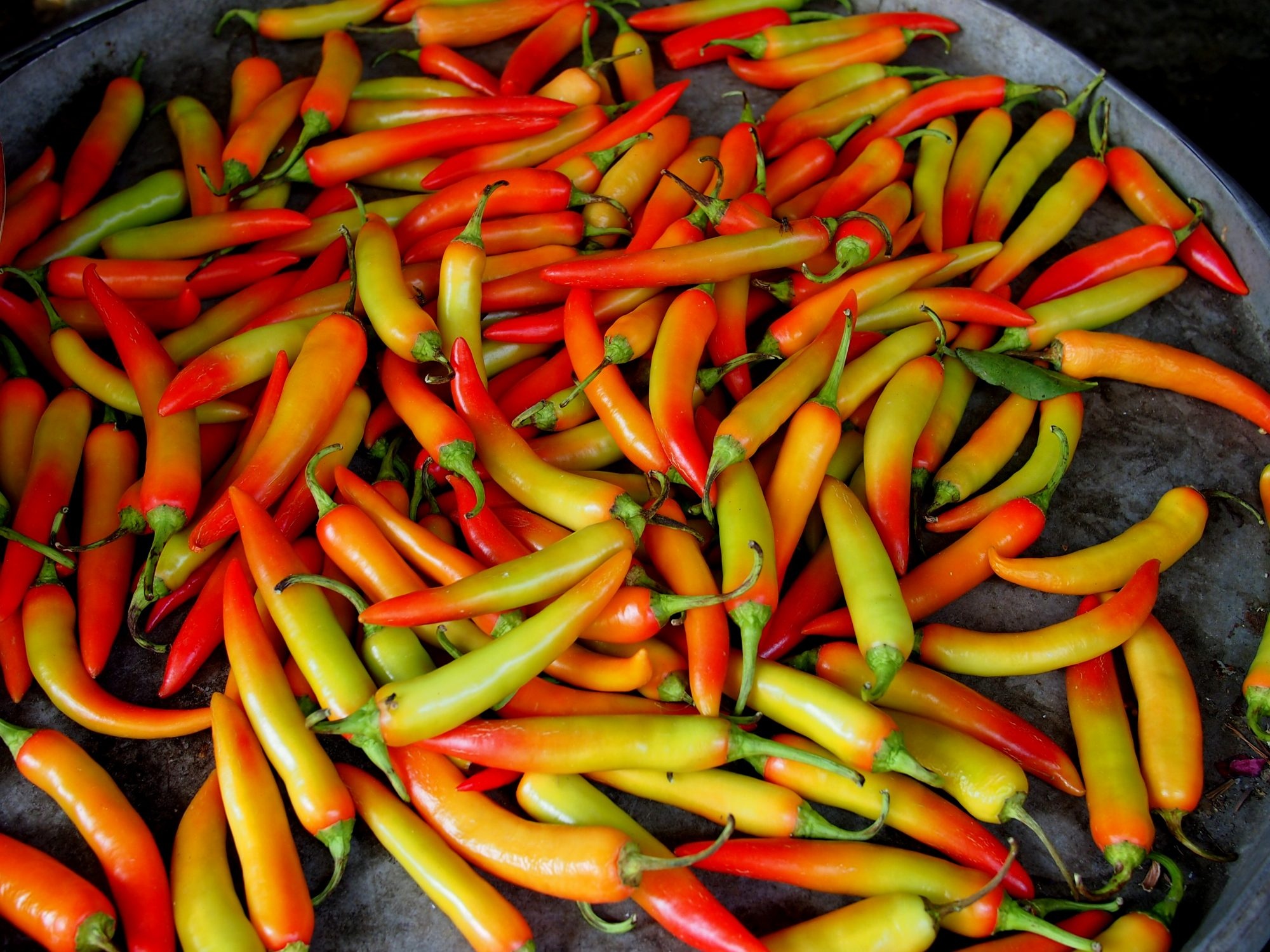 Chili pepper journey, Ancient history, Flavorful evolution, Culinary delight, 2000x1500 HD Desktop