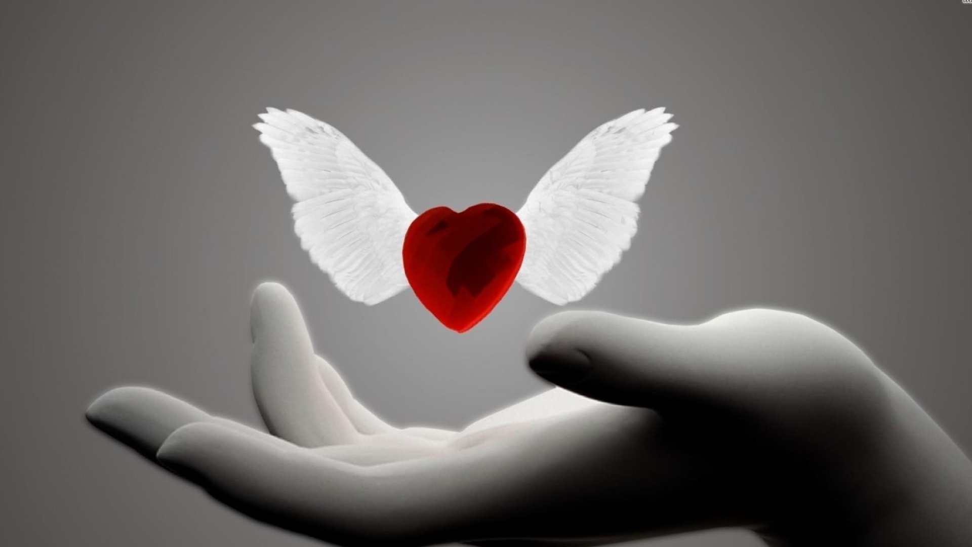 Heart With Wings, Love symbol, Captivating visuals, Romantic imagery, 1920x1080 Full HD Desktop