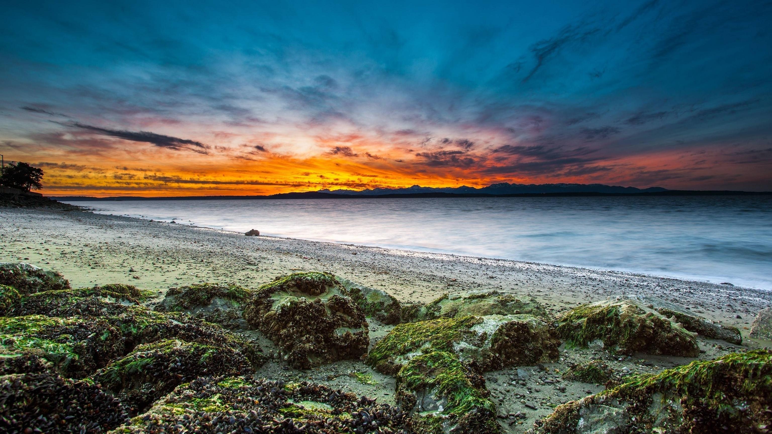 Beaufort Sea, Travels, Beach grass, Backgrounds, 3080x1730 HD Desktop
