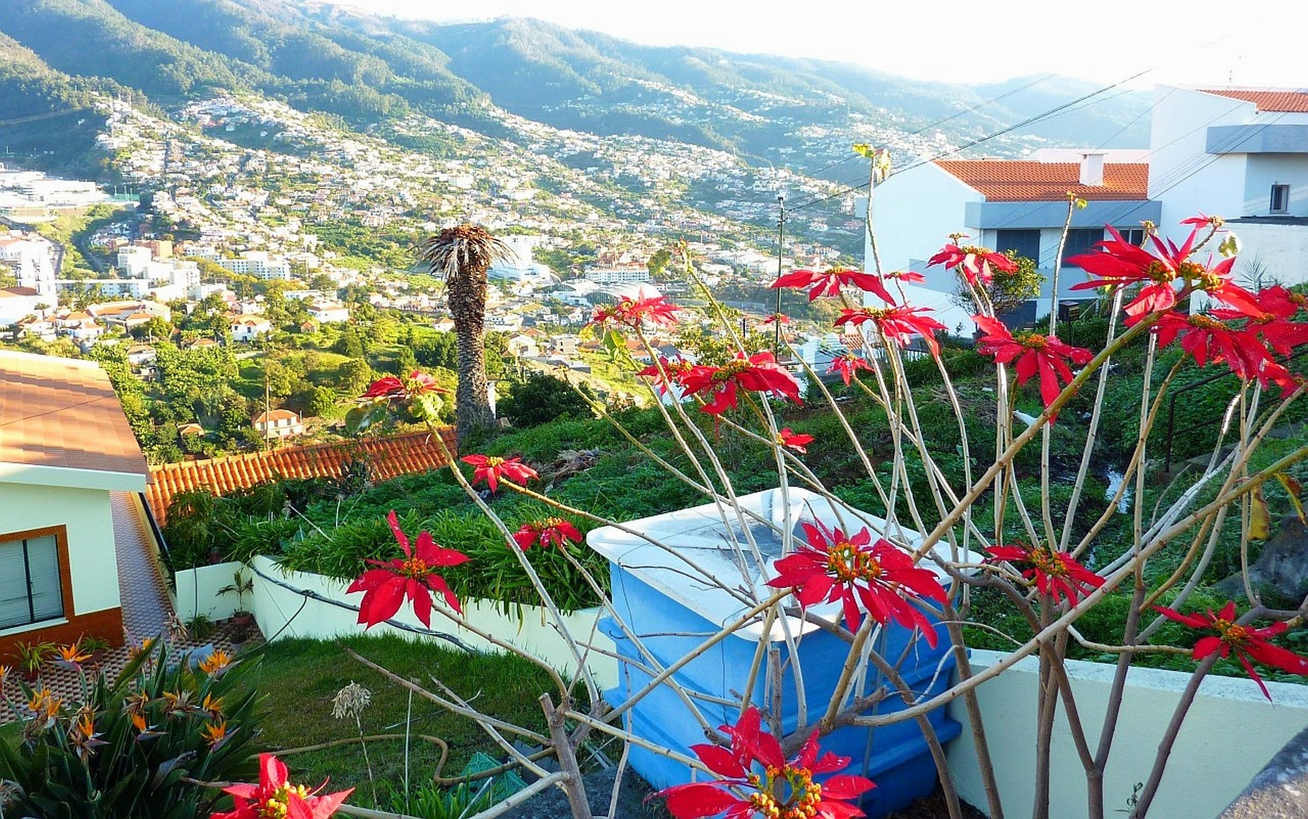 Madeira travels, HD wallpapers, Desktop mobile backgrounds, Stunning landscapes, 2560x1610 HD Desktop