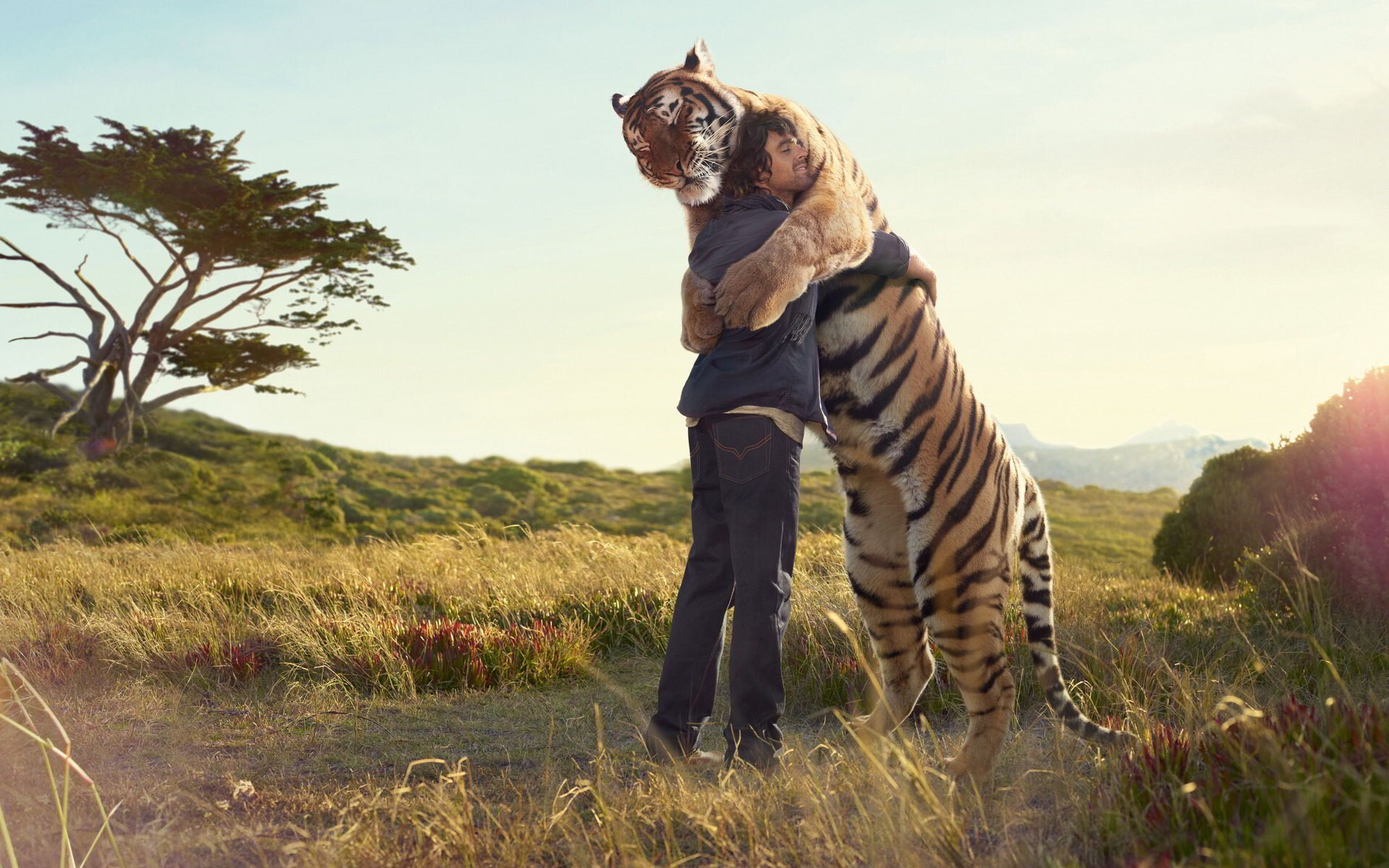 Umarmung zwischen Mann und Tiger, Symbolische Bindung, Kraftvolle Verbindung, Bedingungslose Zuneigung, 1920x1200 HD Desktop