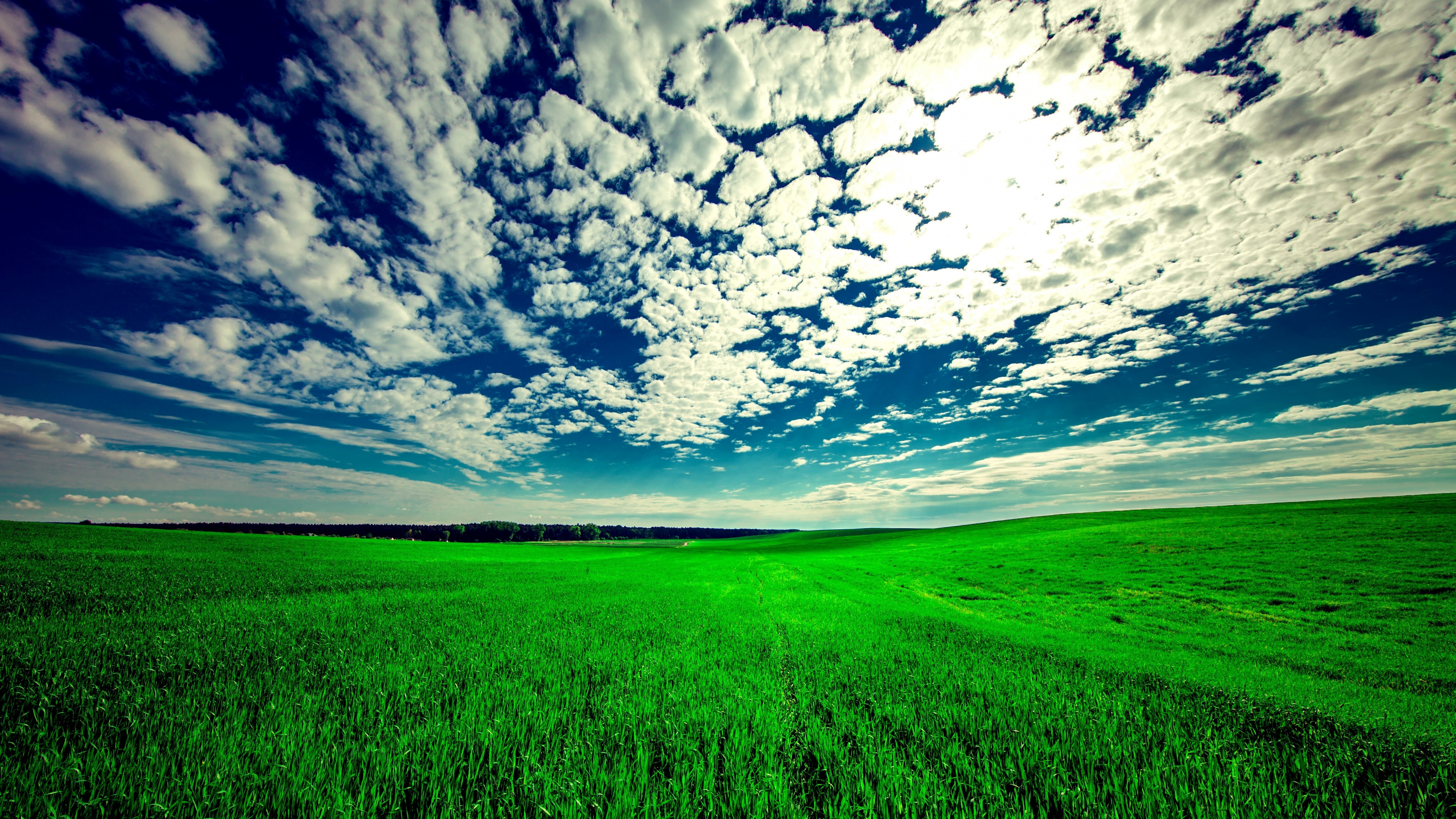 Grassland: Field, Landscape, Nature, Countryside, Environment, Land, Landscape, Non-urban area. 3840x2160 4K Background.
