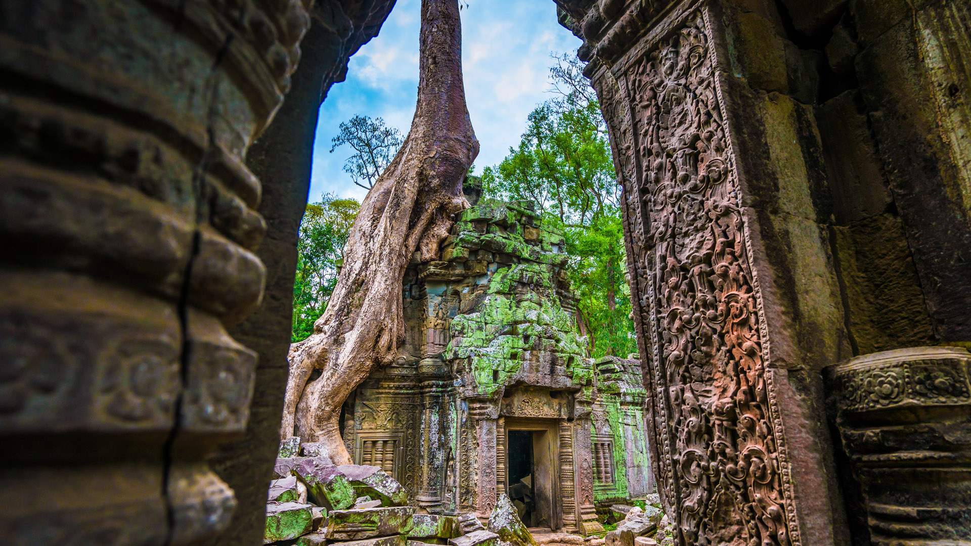 Ta Prohm Temple, Angkor Wat, Cambodia, Windows 10 spotlight, 1920x1080 Full HD Desktop