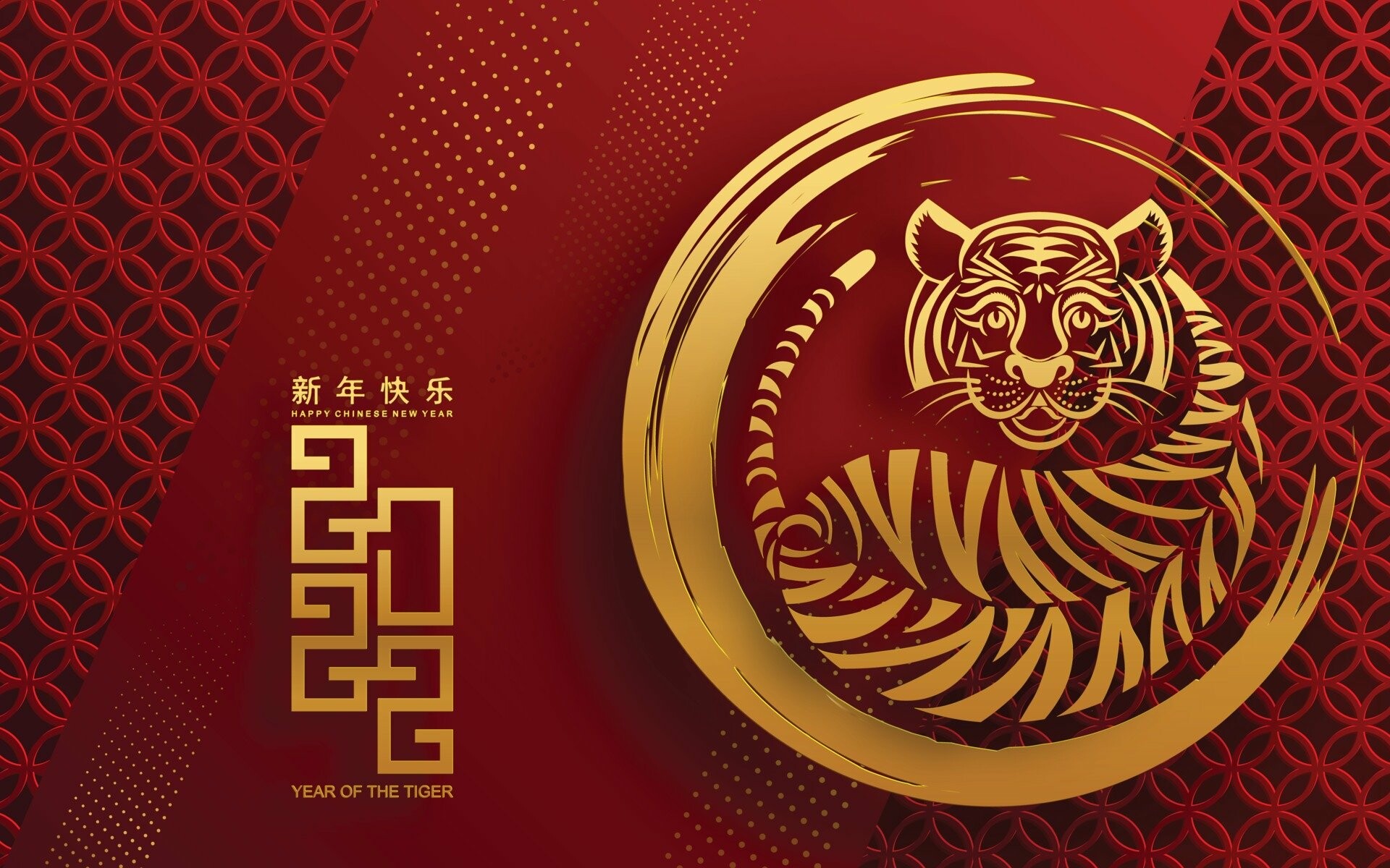 Tiger 2022 Hintergrundbilder, Top Hintergrnde, 1920x1200 HD Desktop