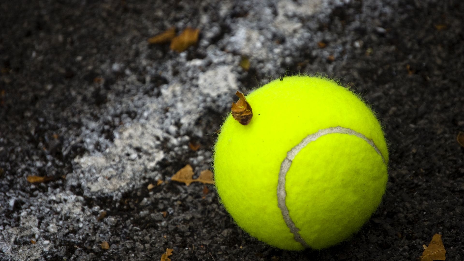Tennis ball, On-court action, Racket sport, Professional match, 1920x1080 Full HD Desktop