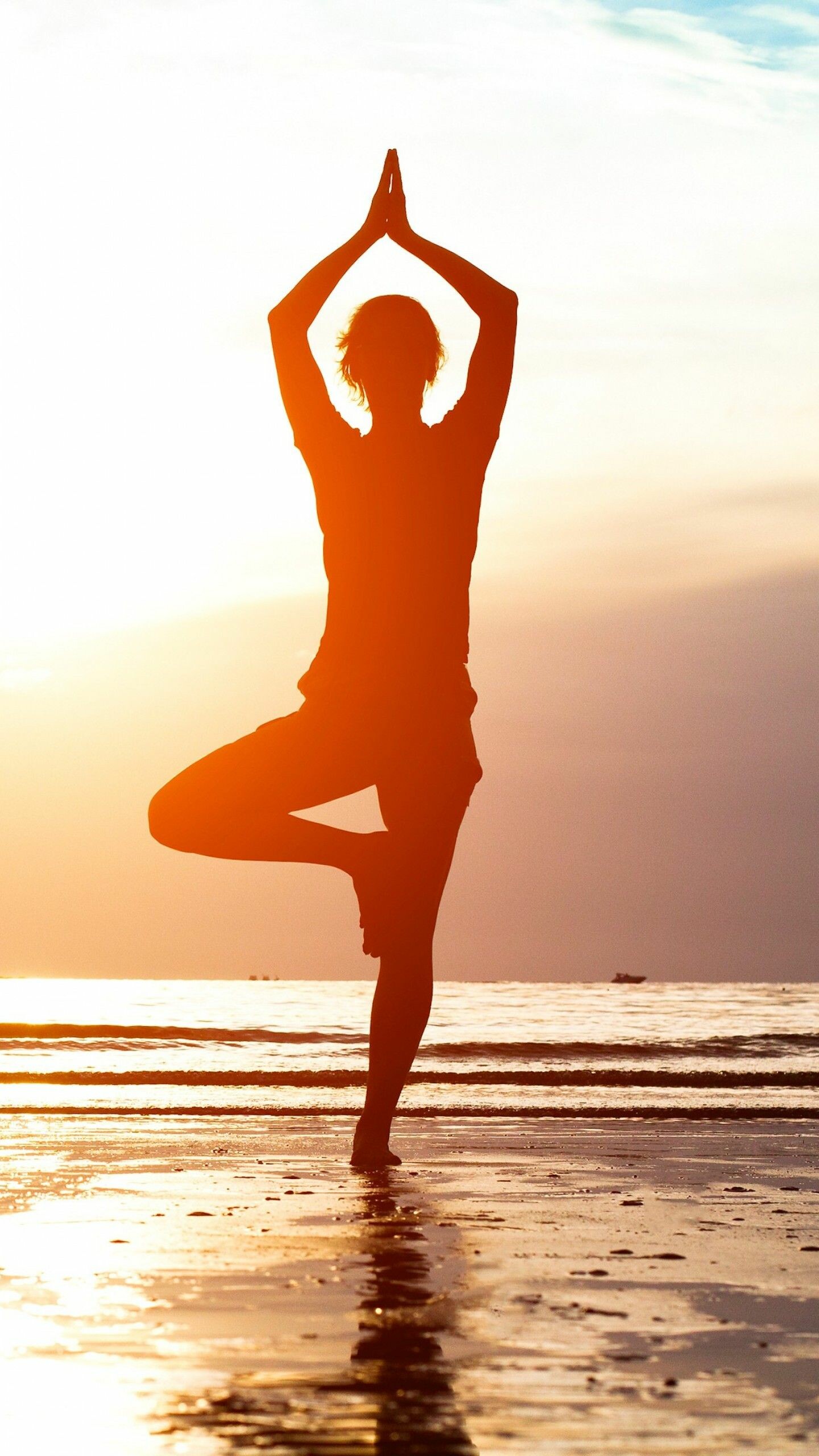 Yoga: Body motion, Balancing exercises, Meditation. 1440x2560 HD Background.