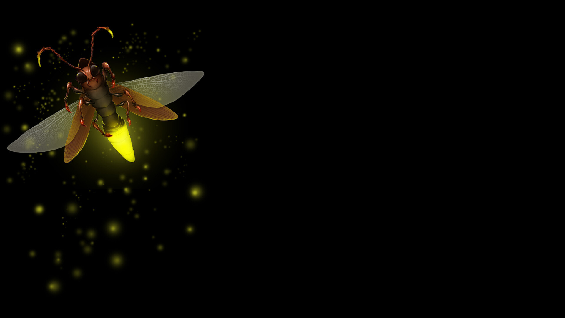 Firefly (Insect): Beetles that use “cold light” to attract mates, Bioluminescence. 1920x1080 Full HD Wallpaper.